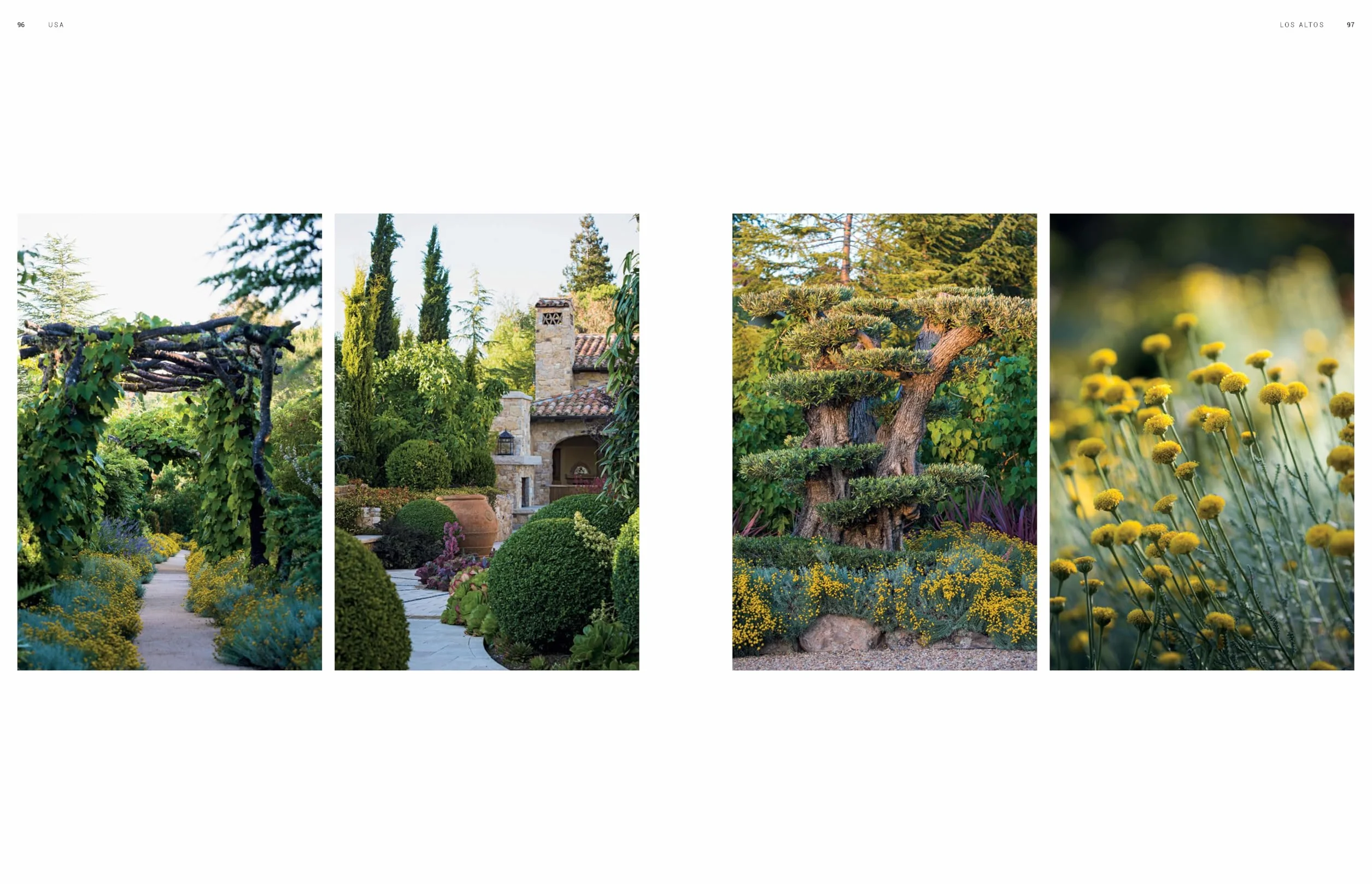 Dreamscapes: Inspiration and Beauty in Gardens Near and Far