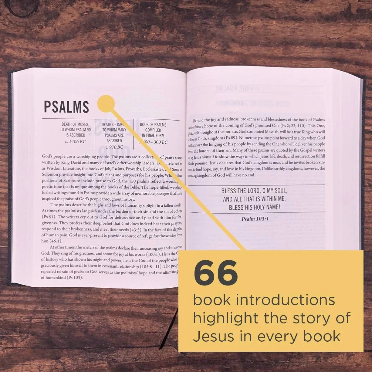 The Jesus Bible, ESV Edition, Cloth over Board, Grey
