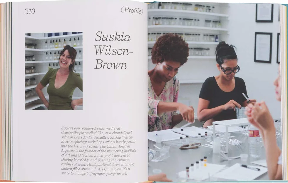 The Essence: Discovering the World of Scent, Perfume & Fragrance