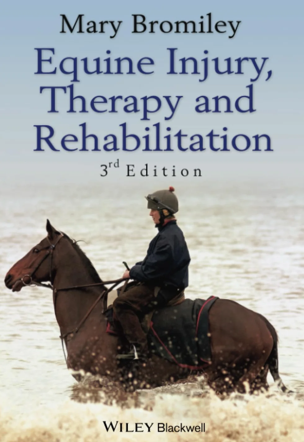 Equine Injury Therapy and Rehabilitation