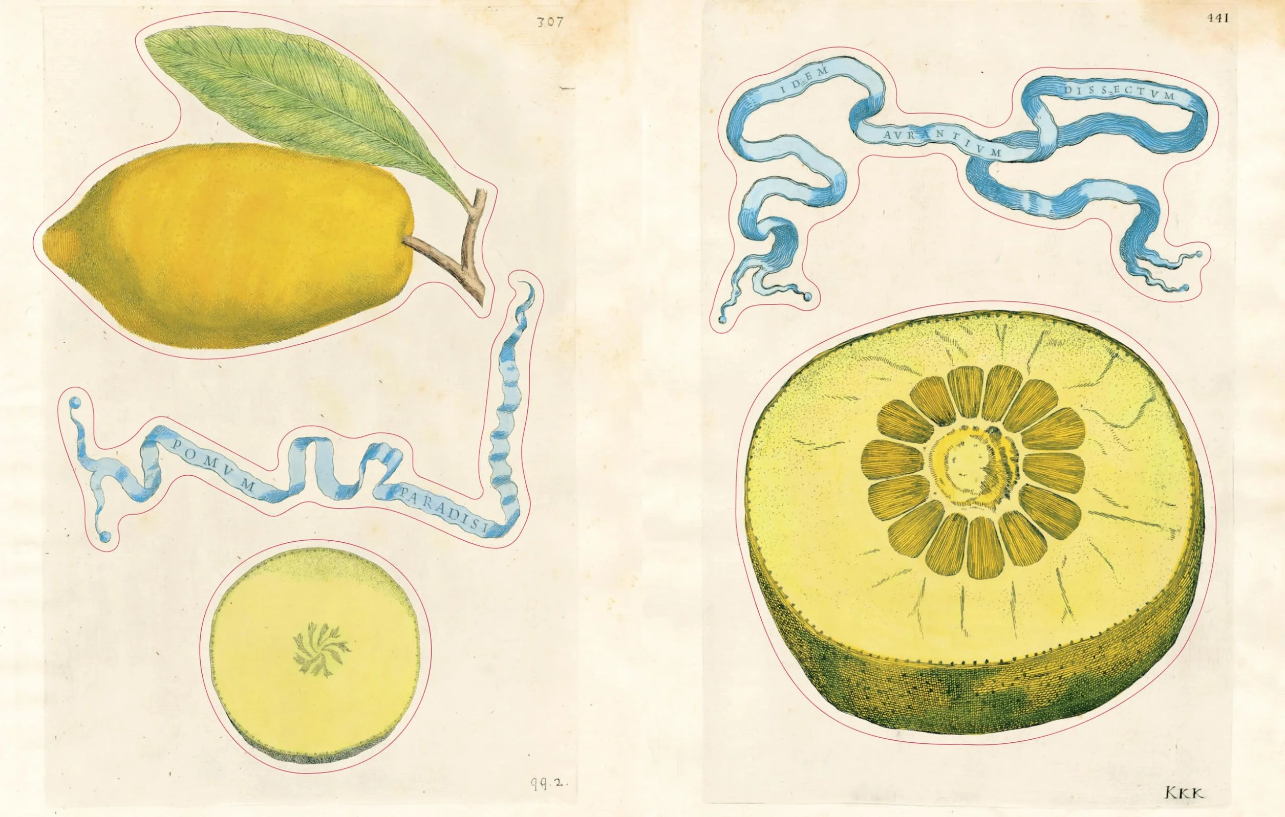 John Derian Sticker Book II /anglais