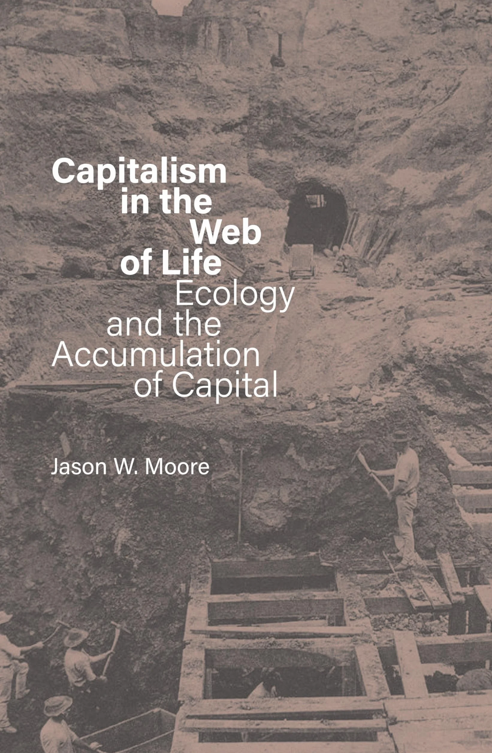 Capitalism in the Web of Life: Ecology and the Accumulation of Capital