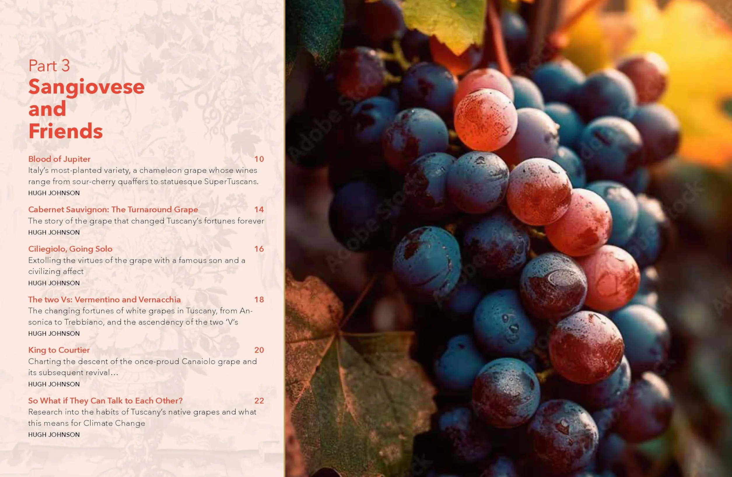 On Tuscany: From Brunello to Bolgheri, Wine Tales from the Heart of Italy