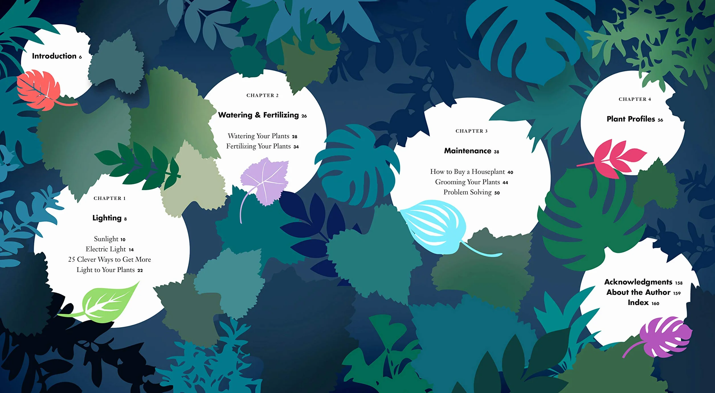 Grow in the Dark: How to Choose and Care for Low-Light Houseplants