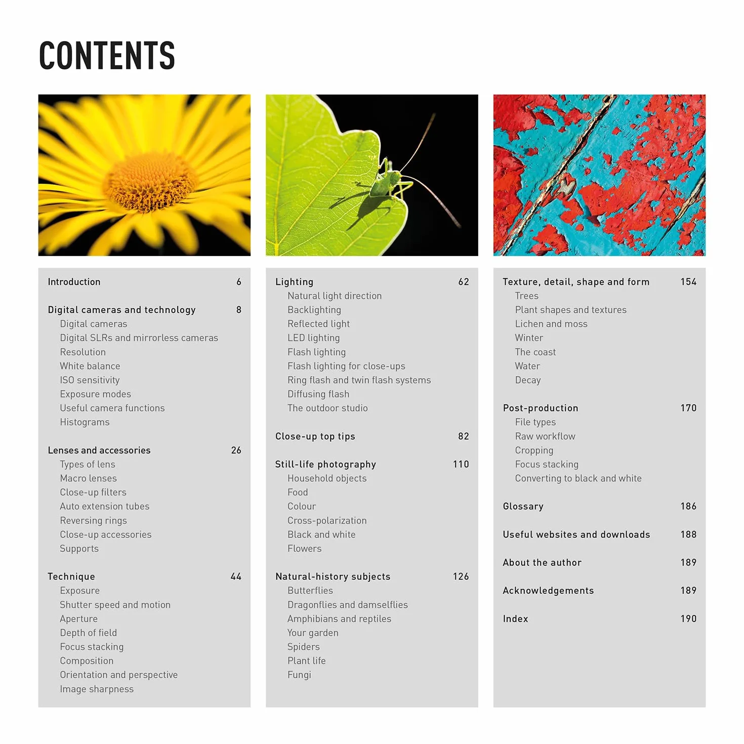 Digital Macro & Close-Up Photography: New Edition