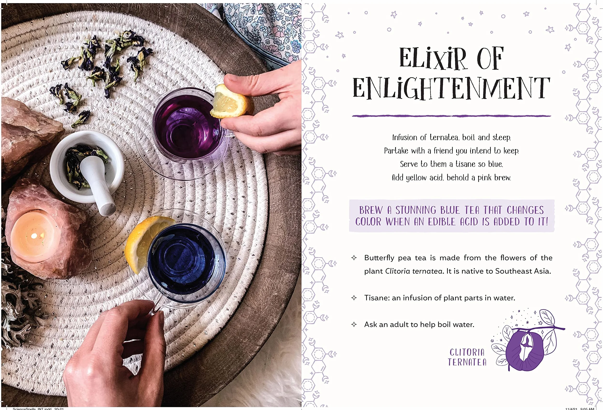 The Science Spell Book: Magical Experiments for Kids