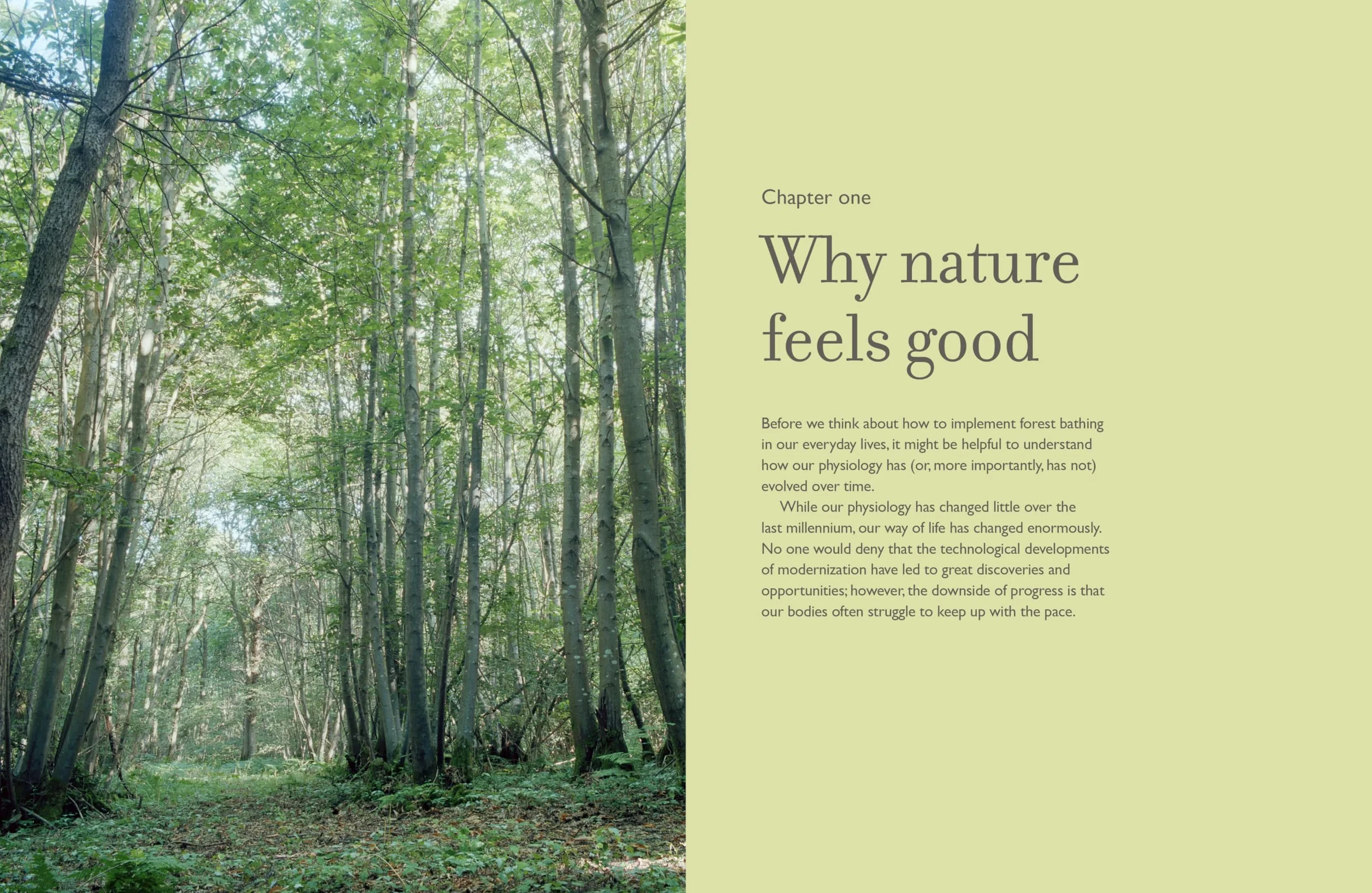 The Healing Power of Trees: The Definitive Guide to Forest Bathing