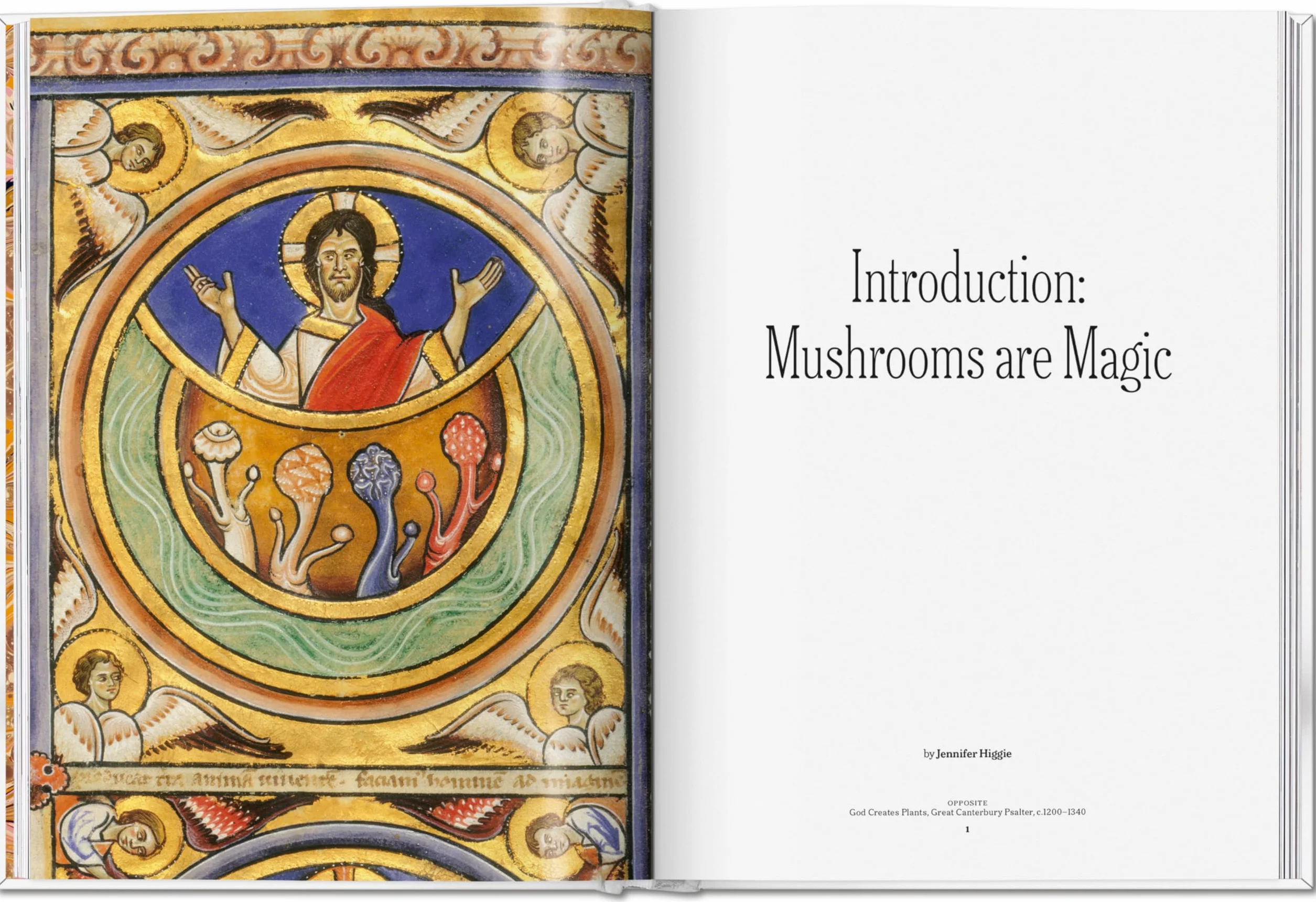The Gourmand's Mushroom: A Collection of Stories & Recipes