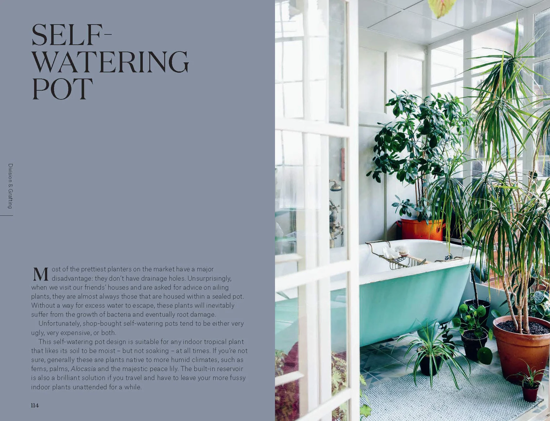 Root, Nurture, Grow: The Essential Guide to Propagating and Sharing Houseplants