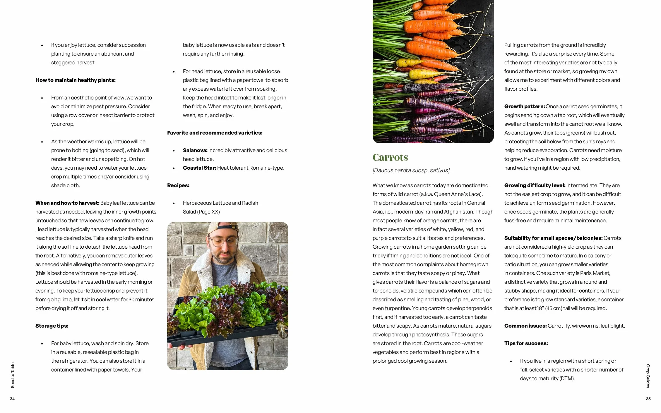 Seed to Table: A Seasonal Guide to Organically Growing, Cooking, and Preserving Food at Home (Kitchen Garden, Urban Gardening)