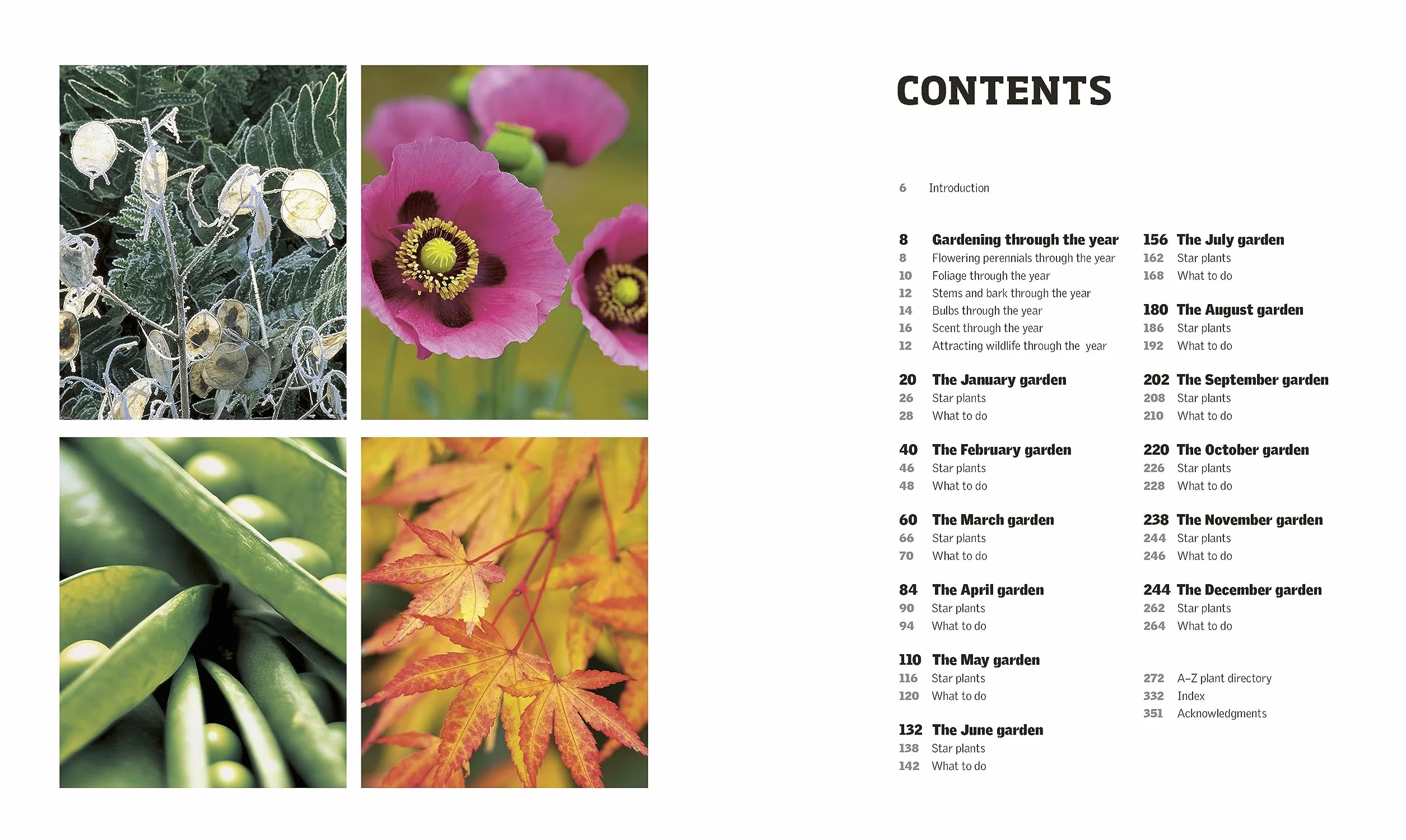 RHS Gardening Through the Year: New Edition Month-by-month Planning Instructions and Inspiration