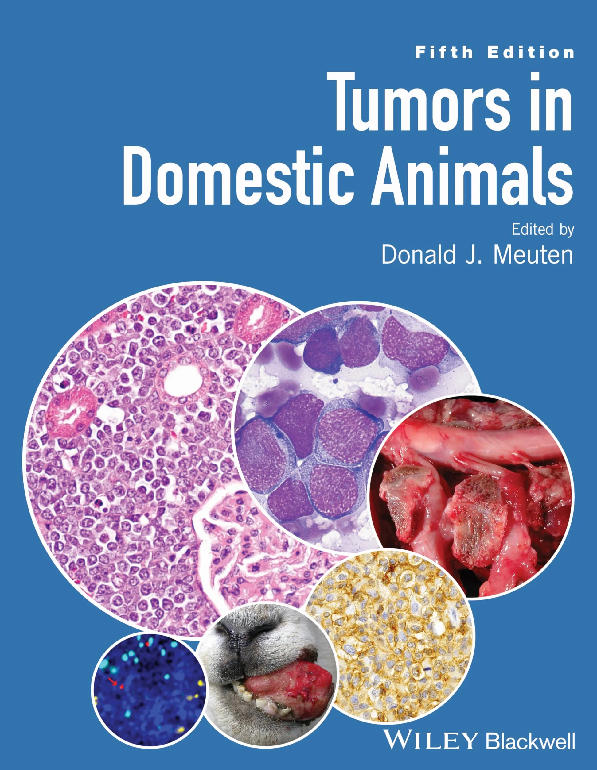 Tumors in Domestic Animals