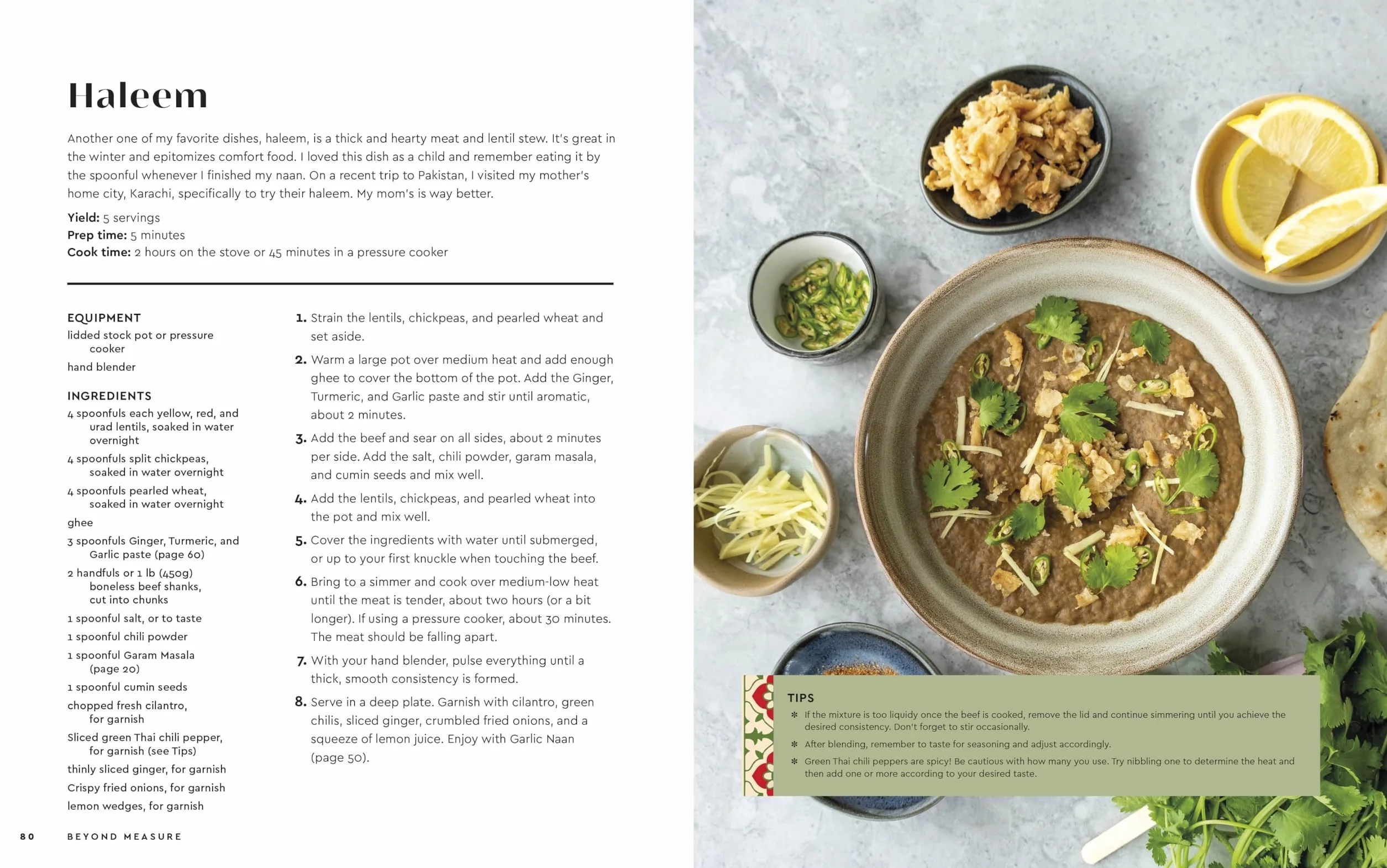 Beyond Measure: Pakistani Cooking by Feel with GoldenGully: A Cookbook