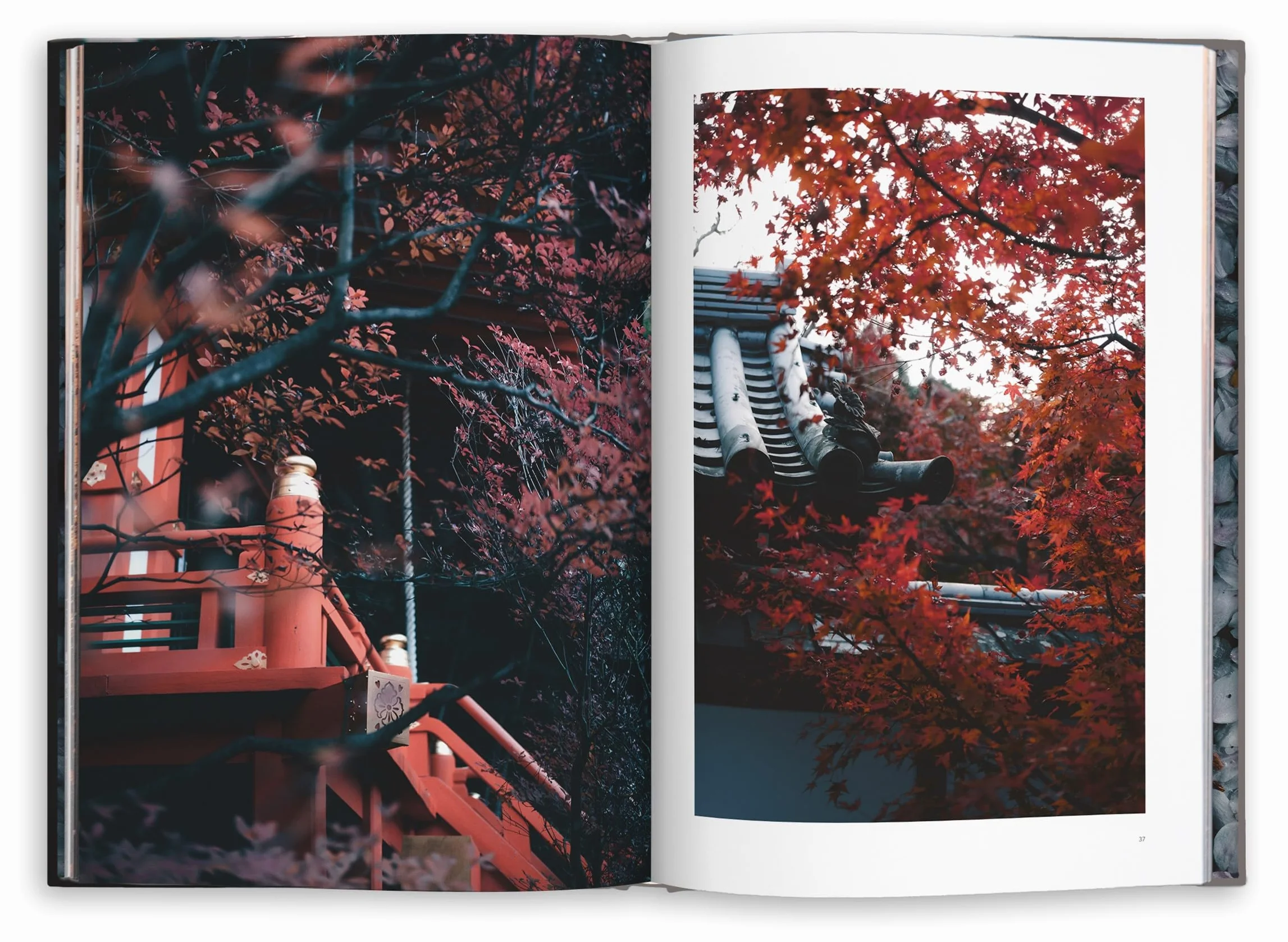 Kyoto Dreaming