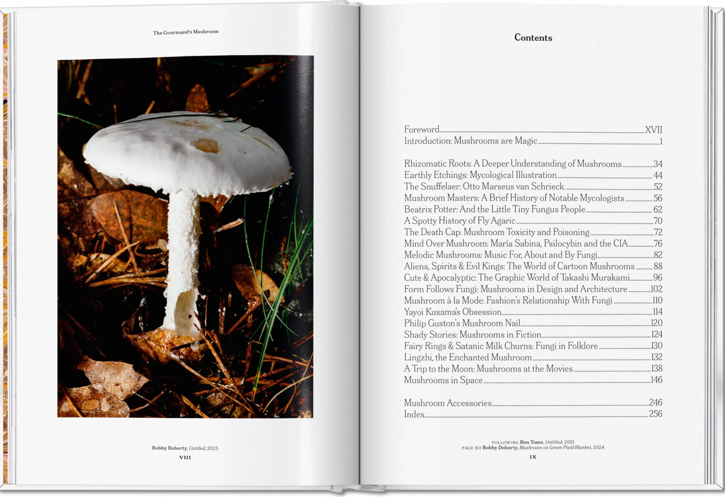 The Gourmand's Mushroom: A Collection of Stories & Recipes