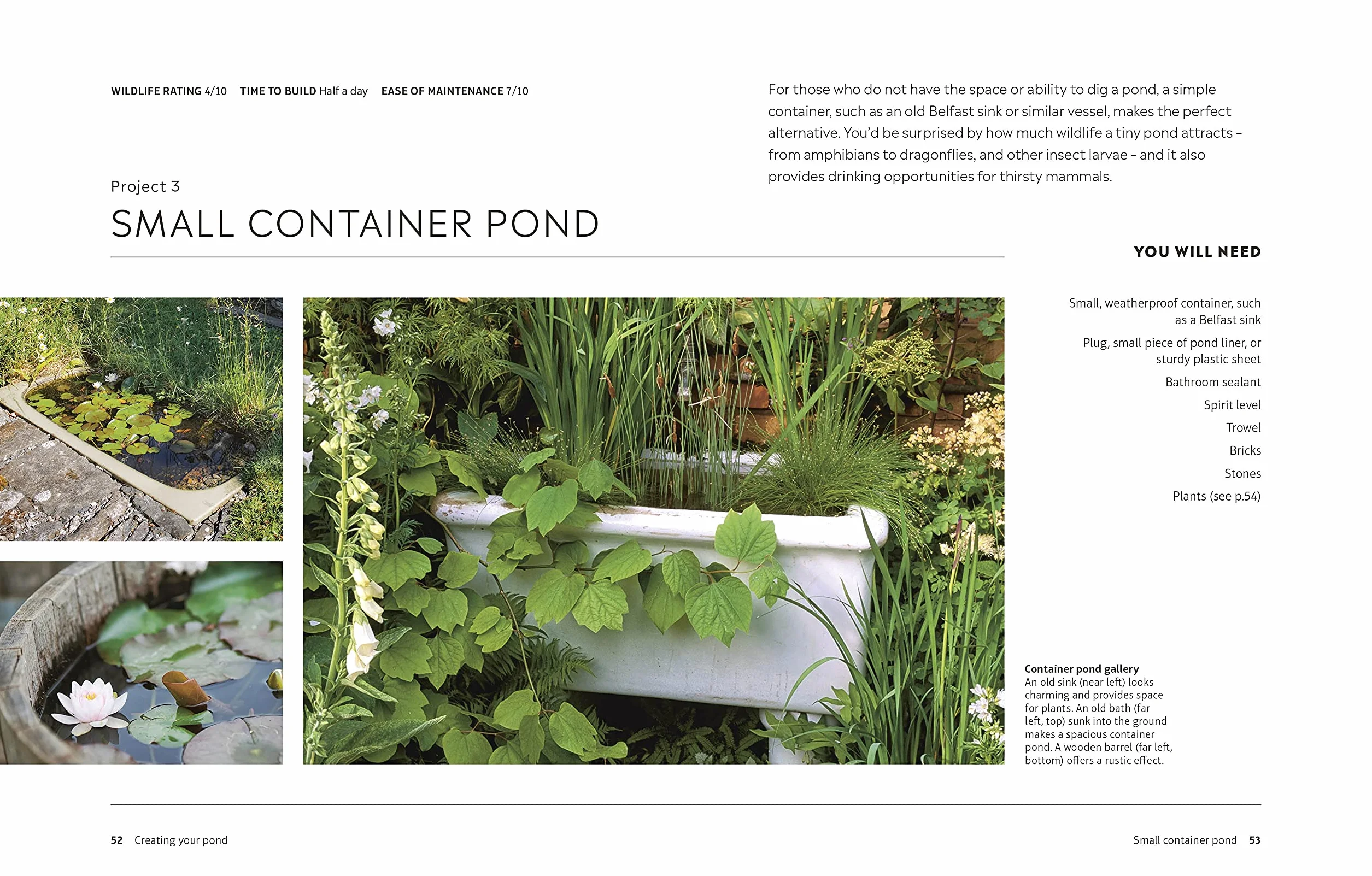RHS How to Create a Wildlife Pond: Plan, Dig, and Enjoy a Natural Pond