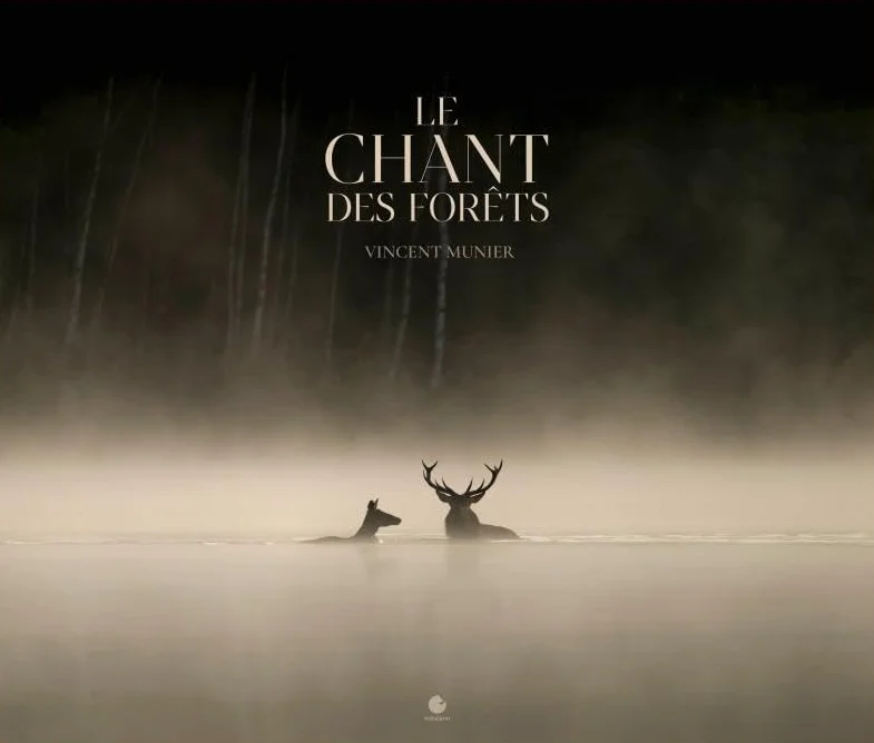 Le chant des forêts