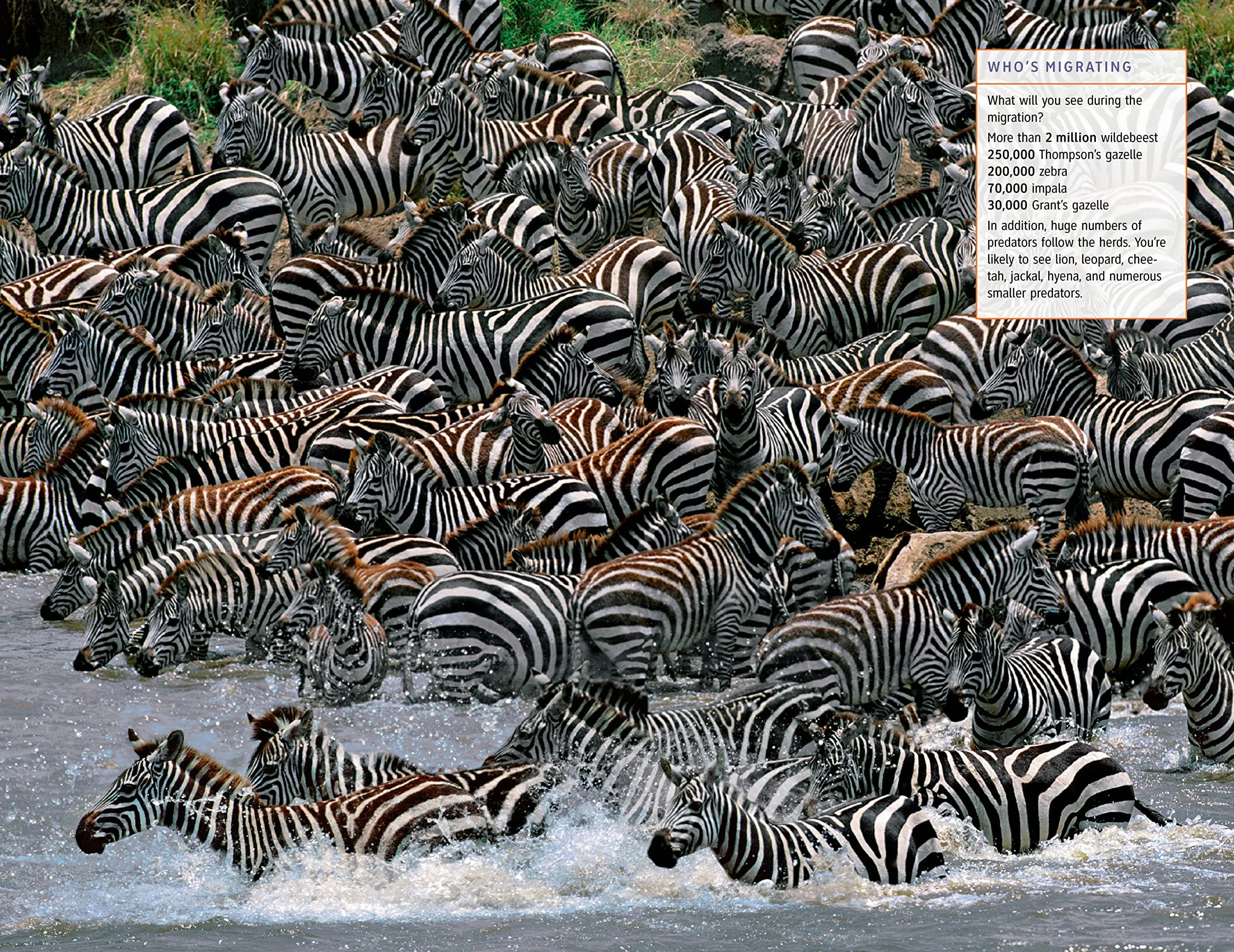 Fodor's Complete Guide to African Safaris: South Africa, Kenya, Tanzania, Botswana, Namibia, Rwanda, Uganda & Victoria Falls