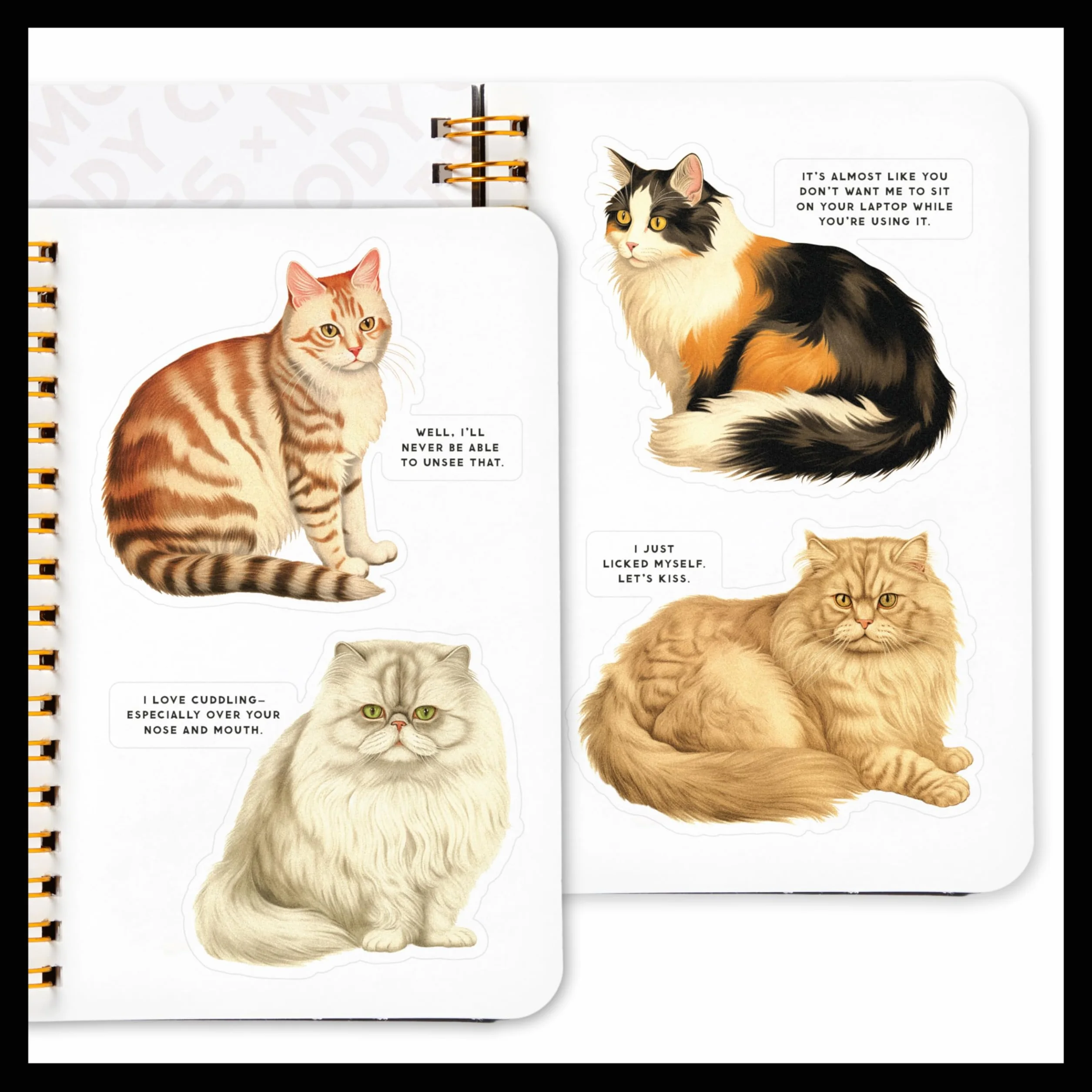 Moody Cats Sticker Book