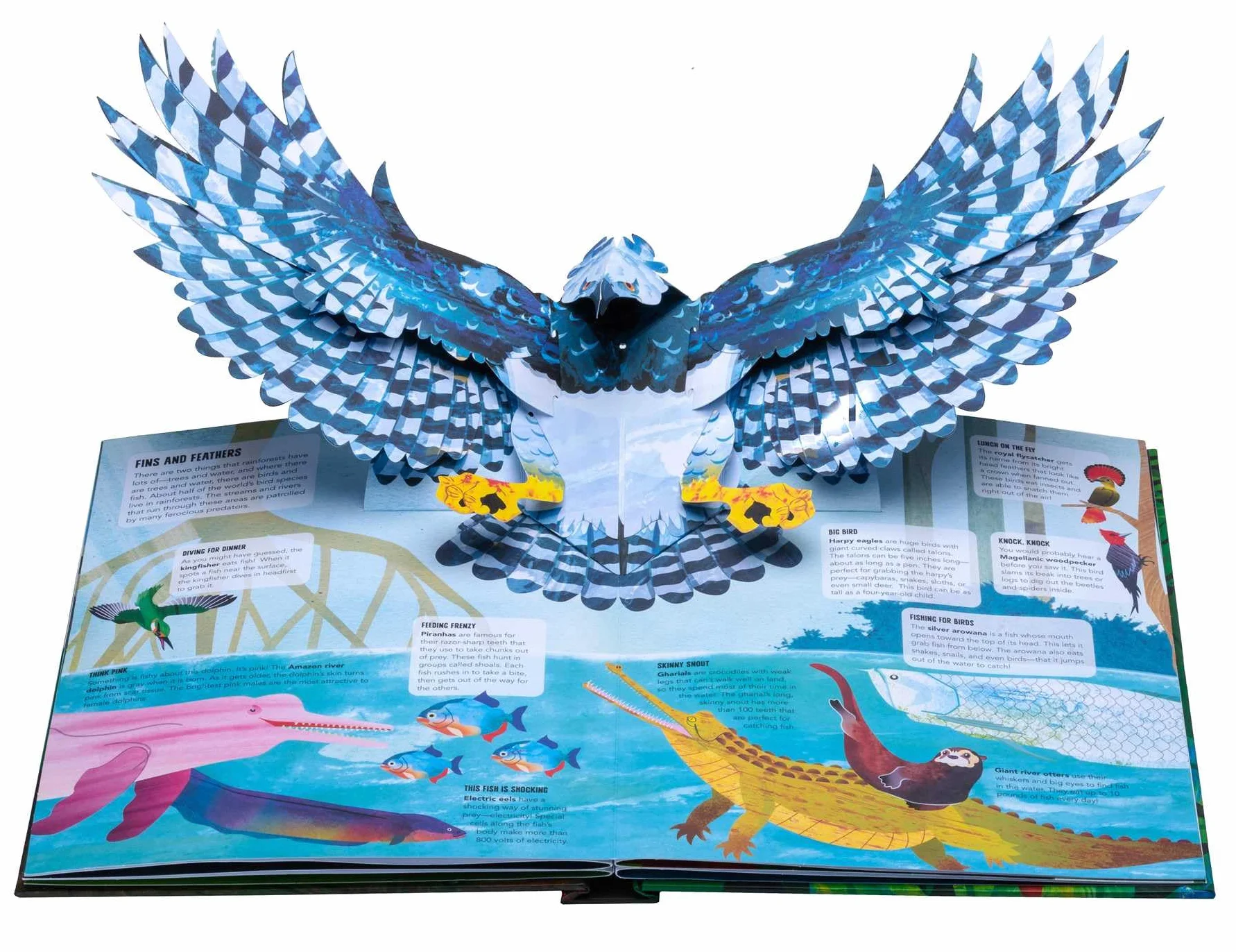 Paws, Claws, and Snapping Jaws Pop-Up Book (Reinhart Pop-Up Studio): A Rainforest Predators Pop-Up