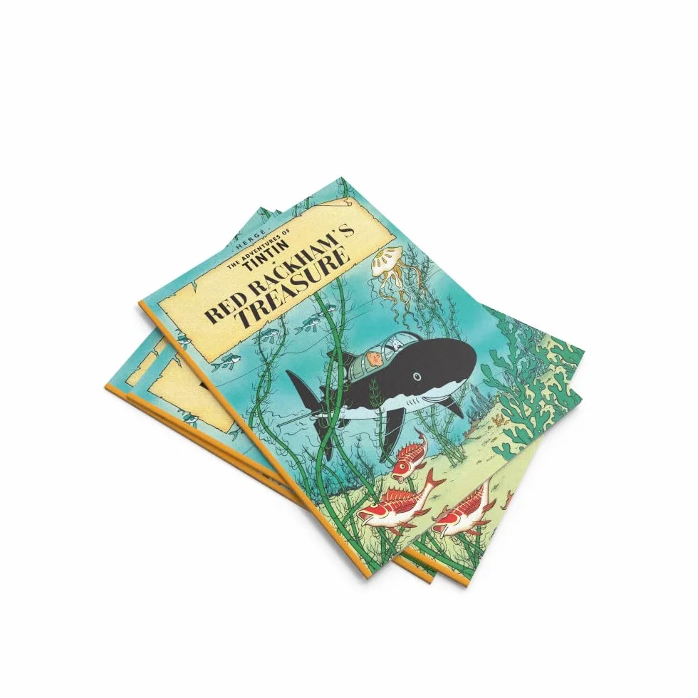 Red Rackham's Treasure: The Official Classic Children's Illustrated Mystery Adventure Series