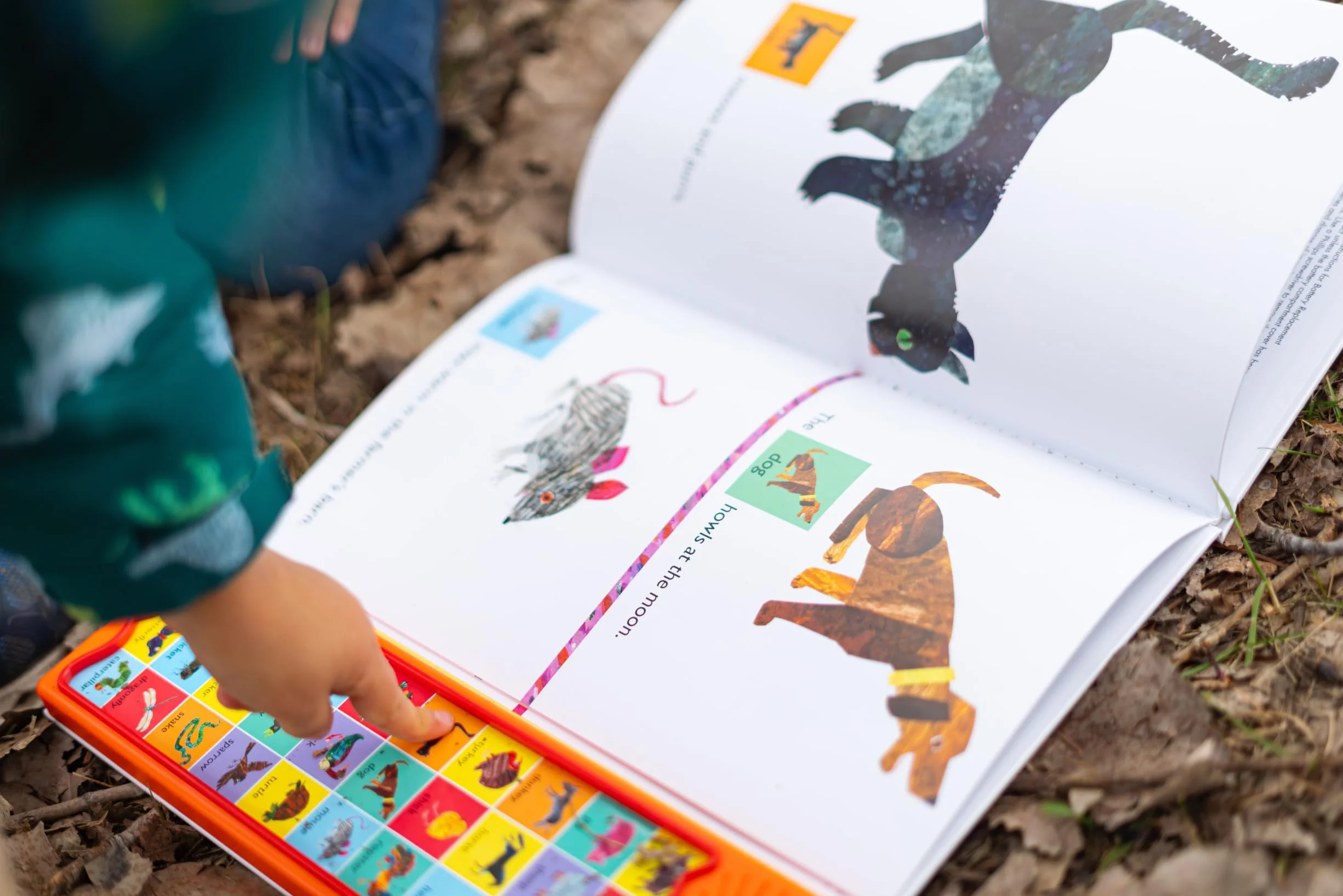 World of Eric Carle Around the Farm