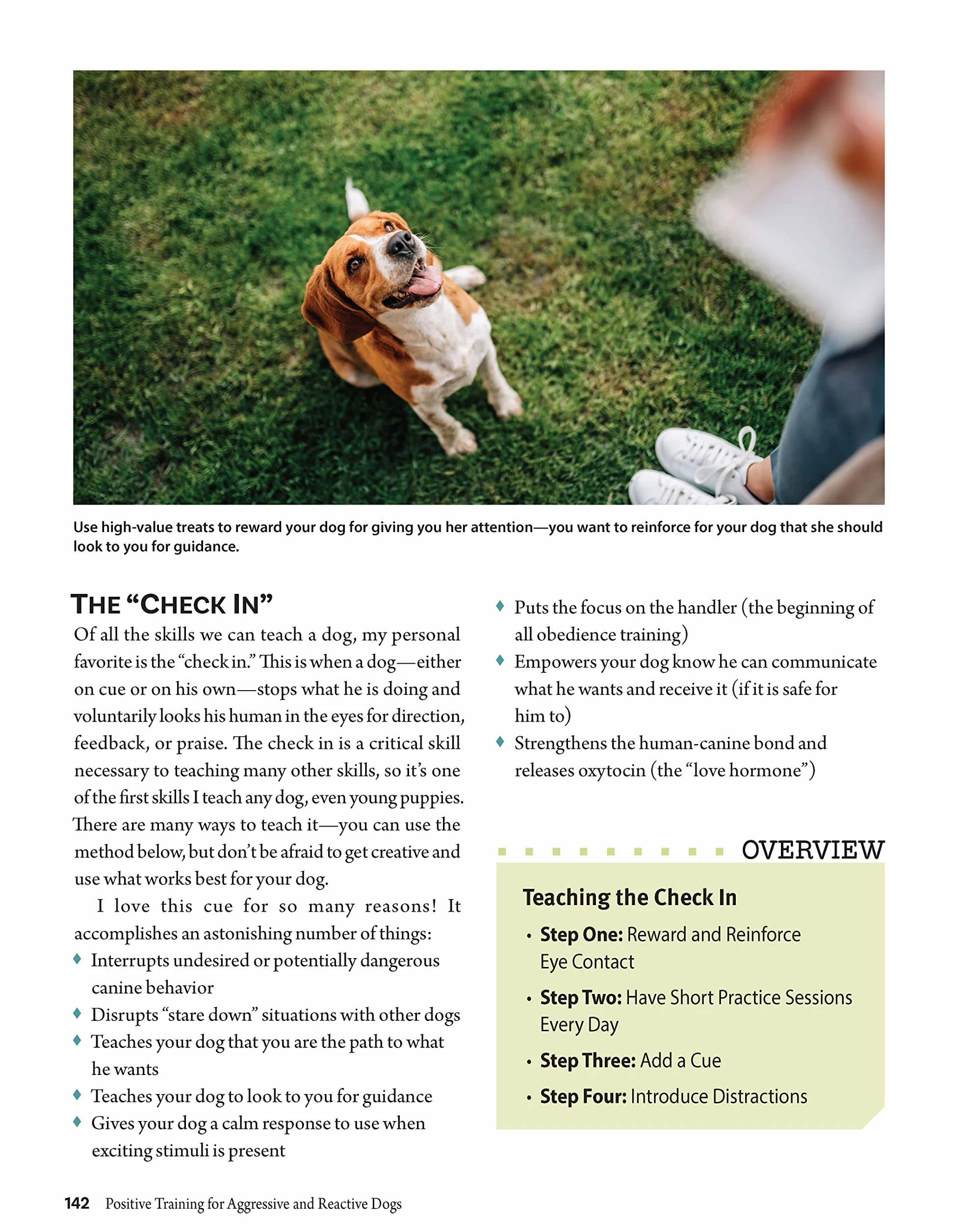 Positive Training for Aggressive and Reactive Dogs: Proven Techniques to Help Your Dog Overcome Fear and Anxiety