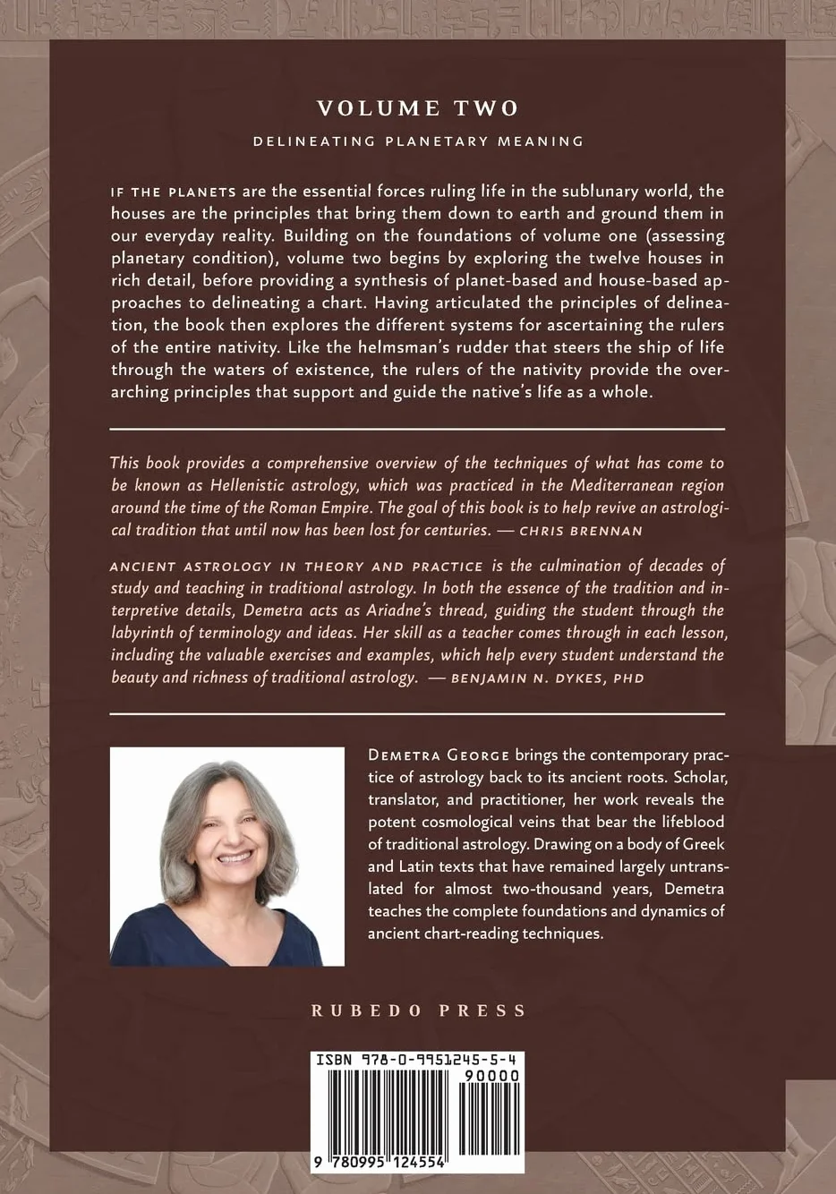 Ancient Astrology in Theory and Practice: A Manual of Traditional Techniques, Volume II: Delineating Planetary Meaning