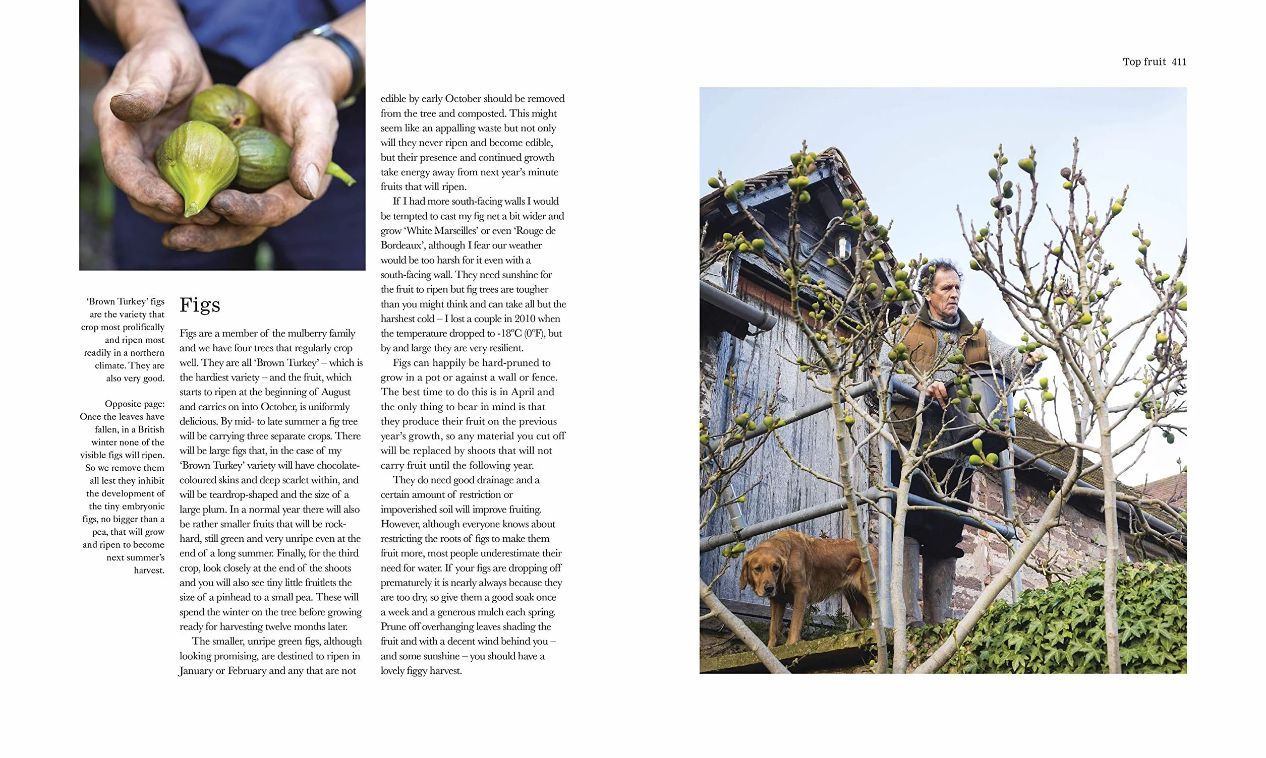 The Complete Gardener: A Practical Guide to Gardening
