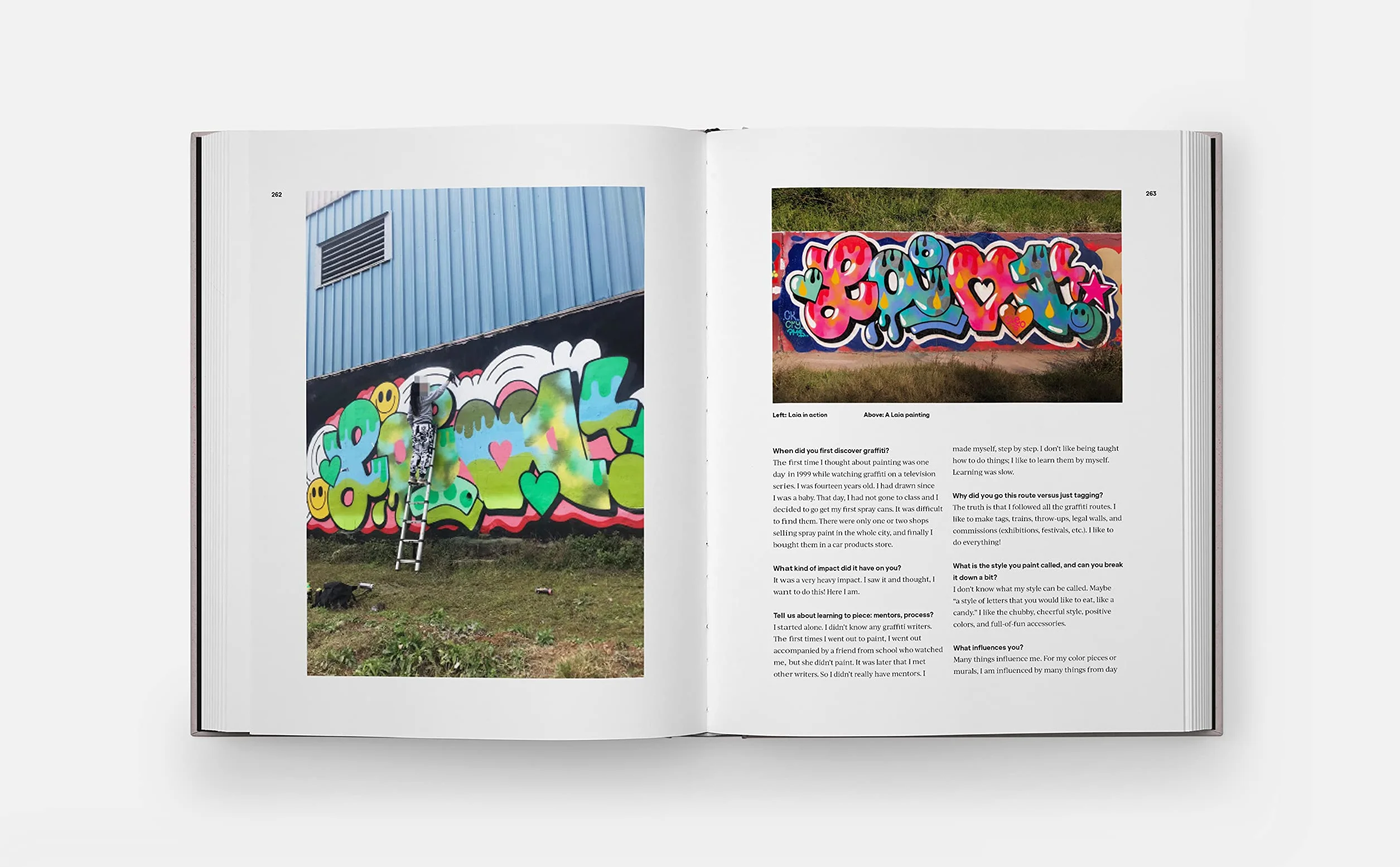 Graffiti The Wide World of