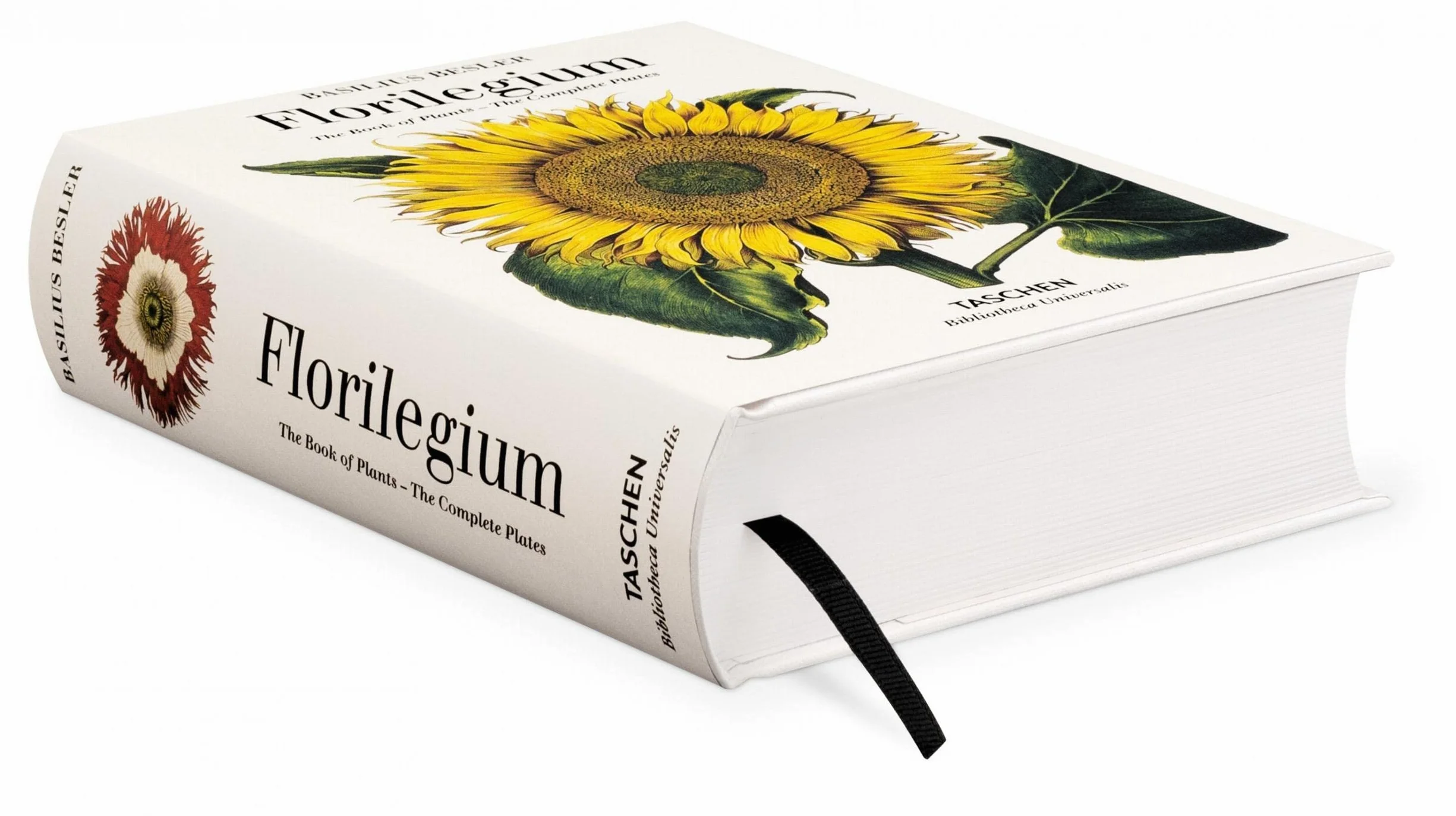 Basilius beslers florilegium the book of plants anglais