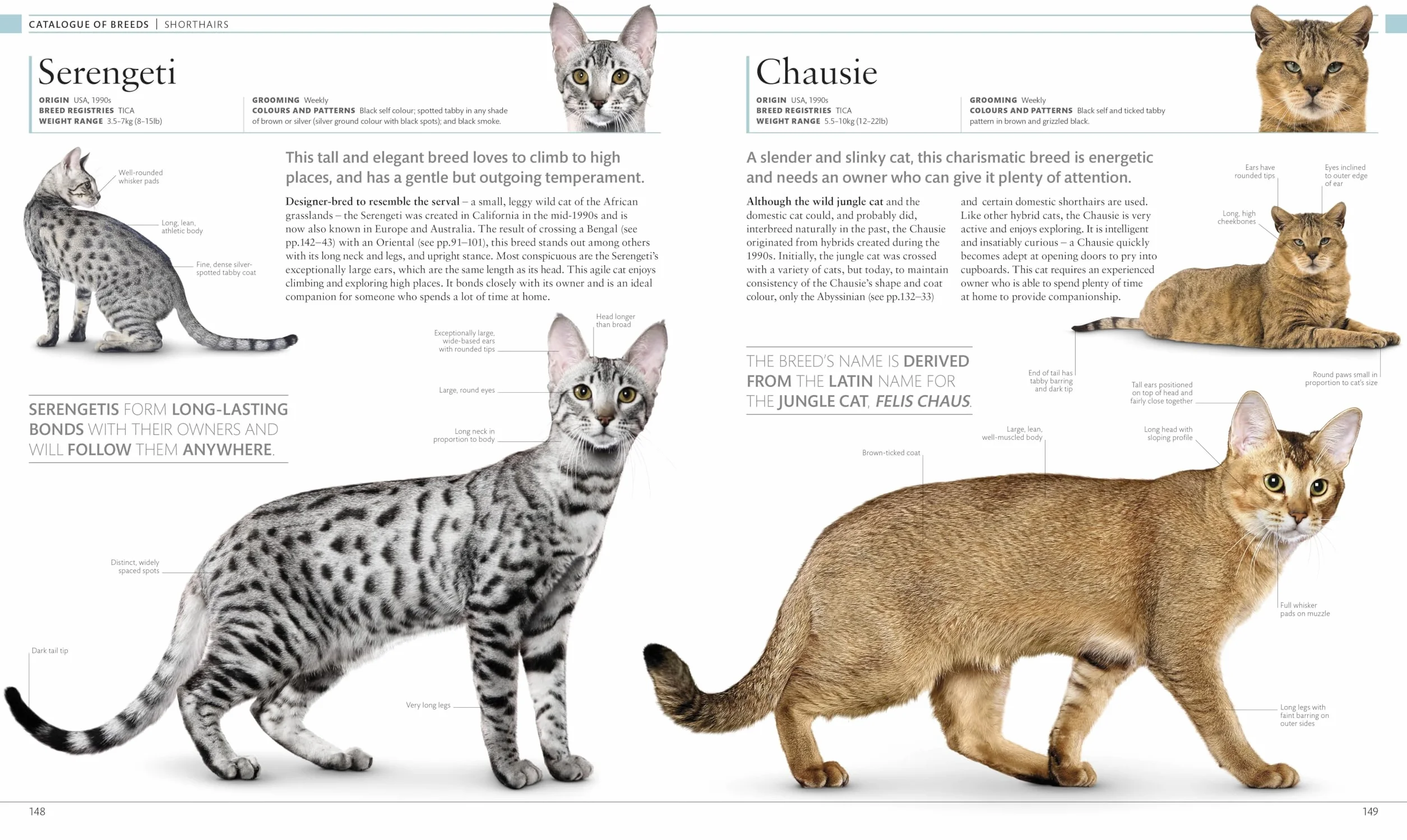 The Cat Encyclopedia: The Definitive Visual Guide