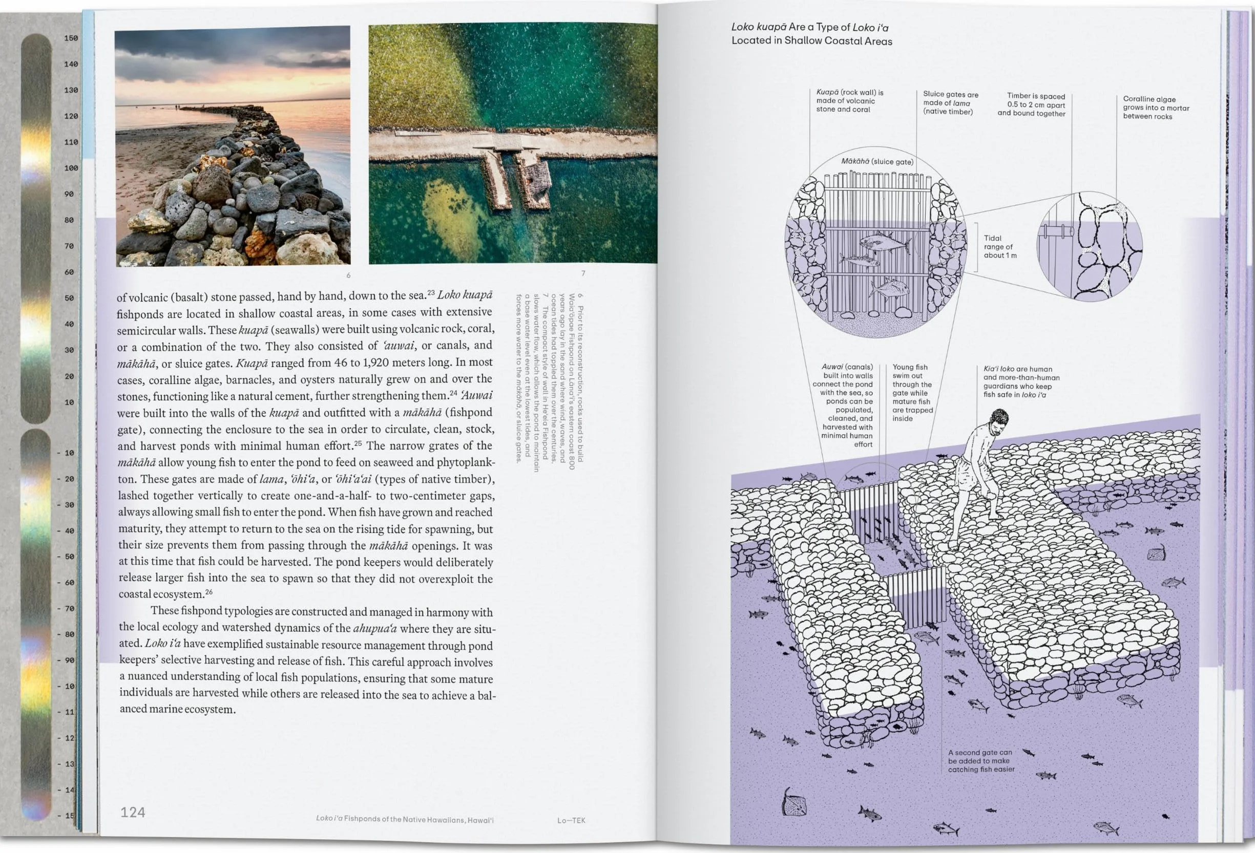 Julia Watson. Lo--Tek. Water. a Field Guide for Teknology