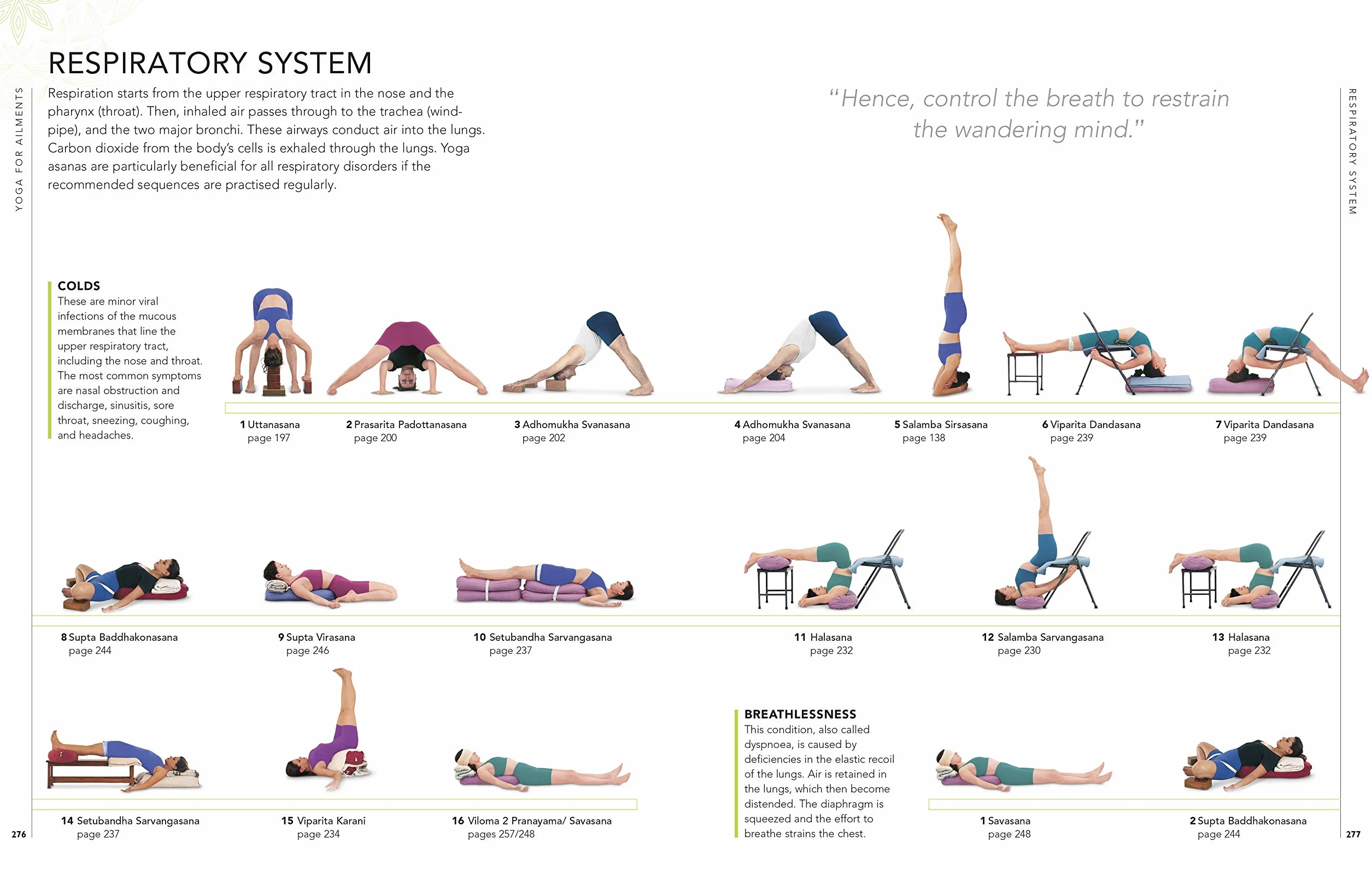 B.K.S. Iyengar Yoga The Path to Holistic Health: The Definitive Step-by-step Guide