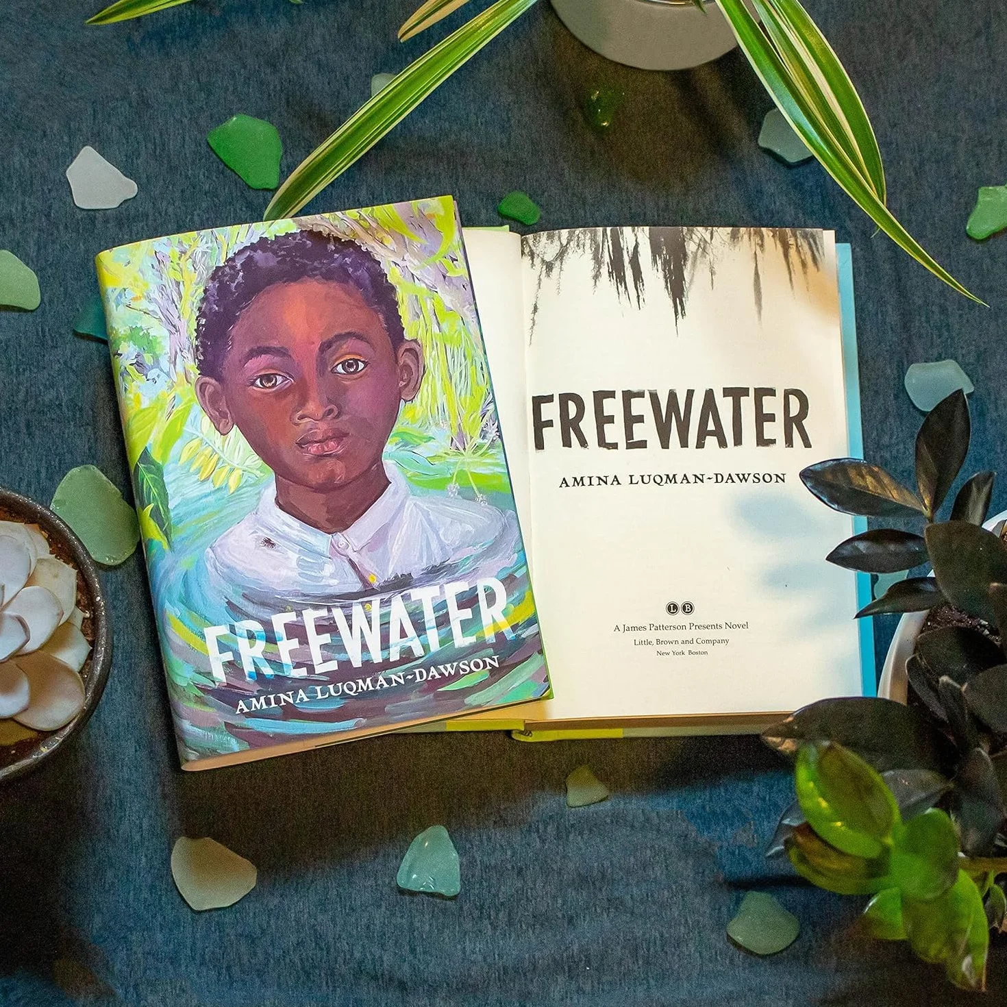 Freewater (Newbery & Coretta Scott King Award Winner)