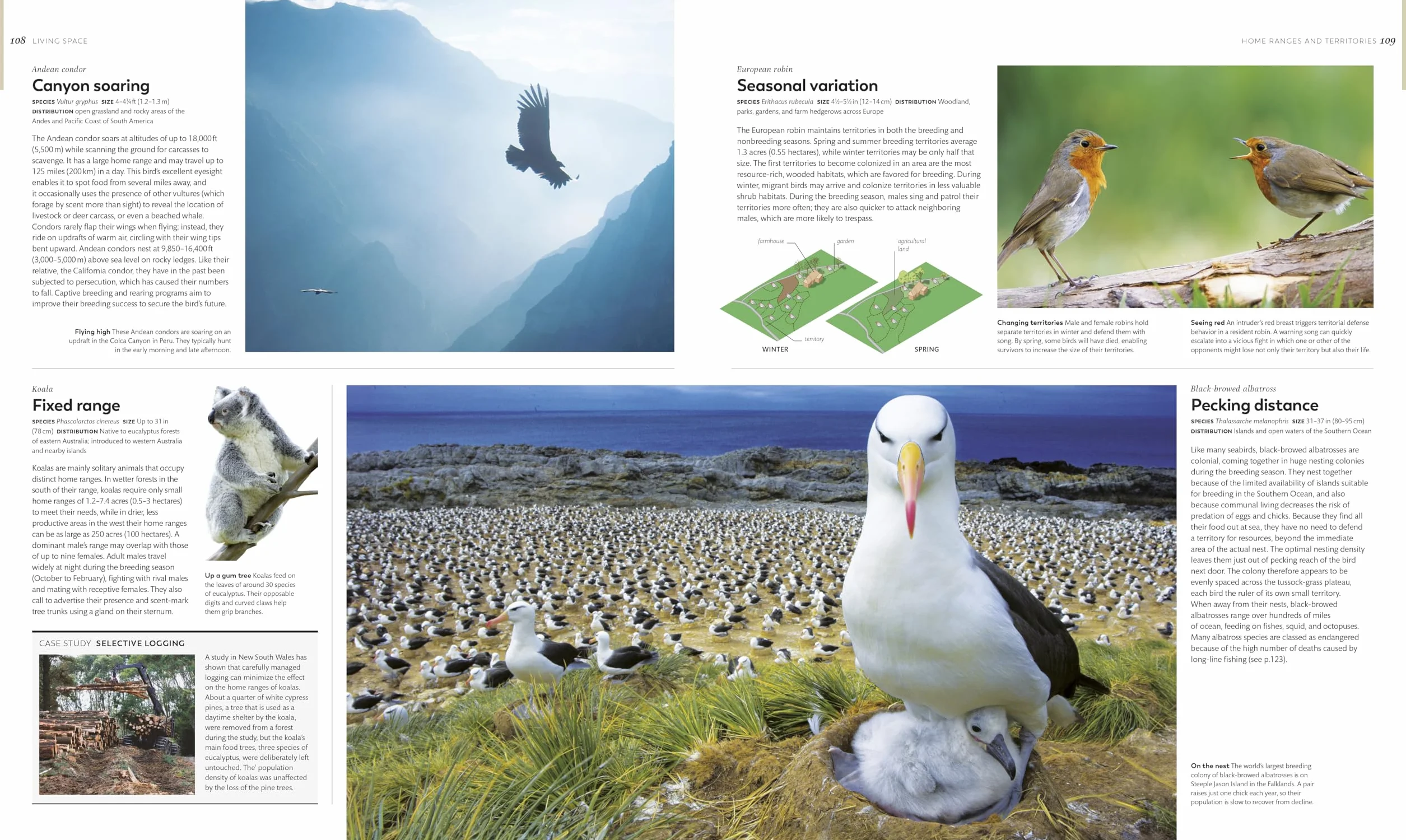 Animal Behavior: Stories of Instinct, Intelligence, and Adaptation
