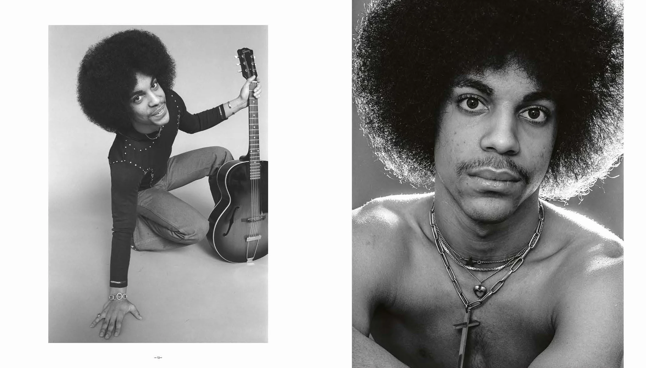 Prince: Icon - The Definitive Photographic Collection