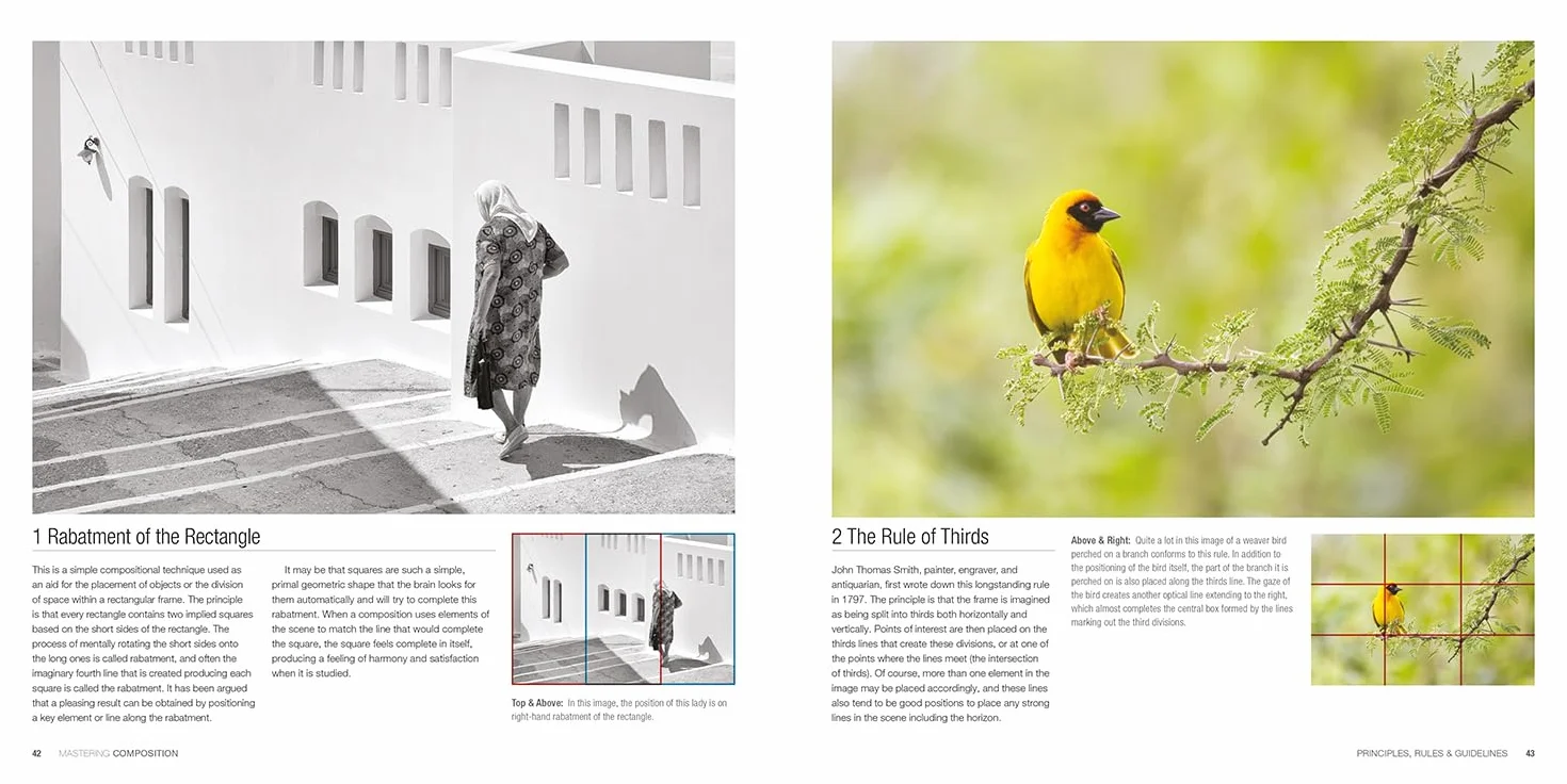 Mastering Composition: The Definitive Guide for Photographers