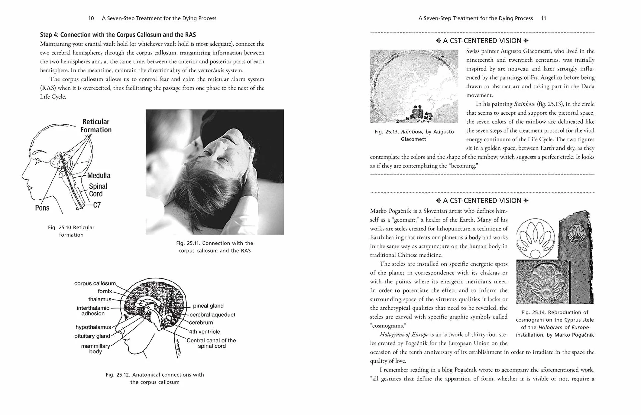 Craniosacral Therapy for Grief and Loss: Hands-On Techniques to Release Trauma Stored in the Body