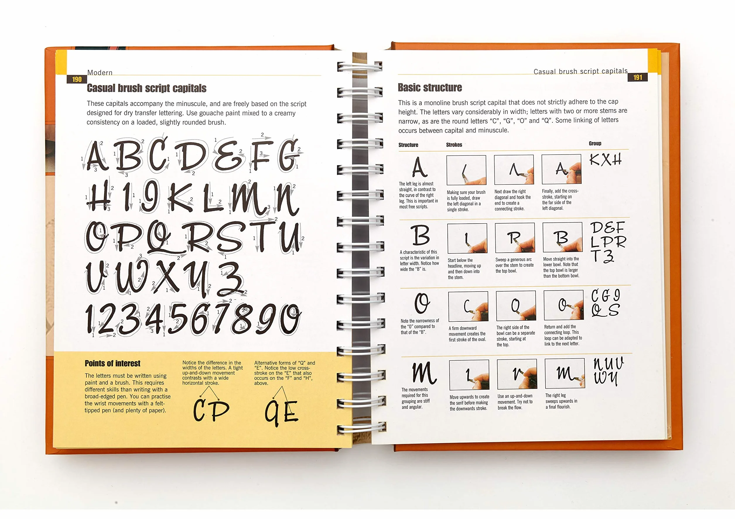 The Calligrapher's Bible: 100 Complete Alphabets and How to Draw Them