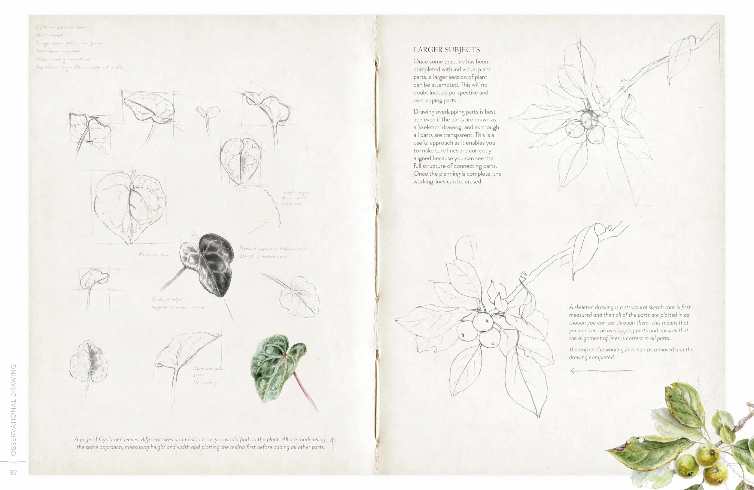 Sketching Nature: The Beginner's Guide to Keeping a Botanical Sketchbook