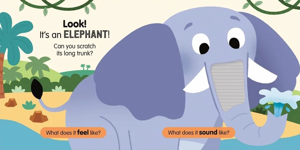 Sensory Safari