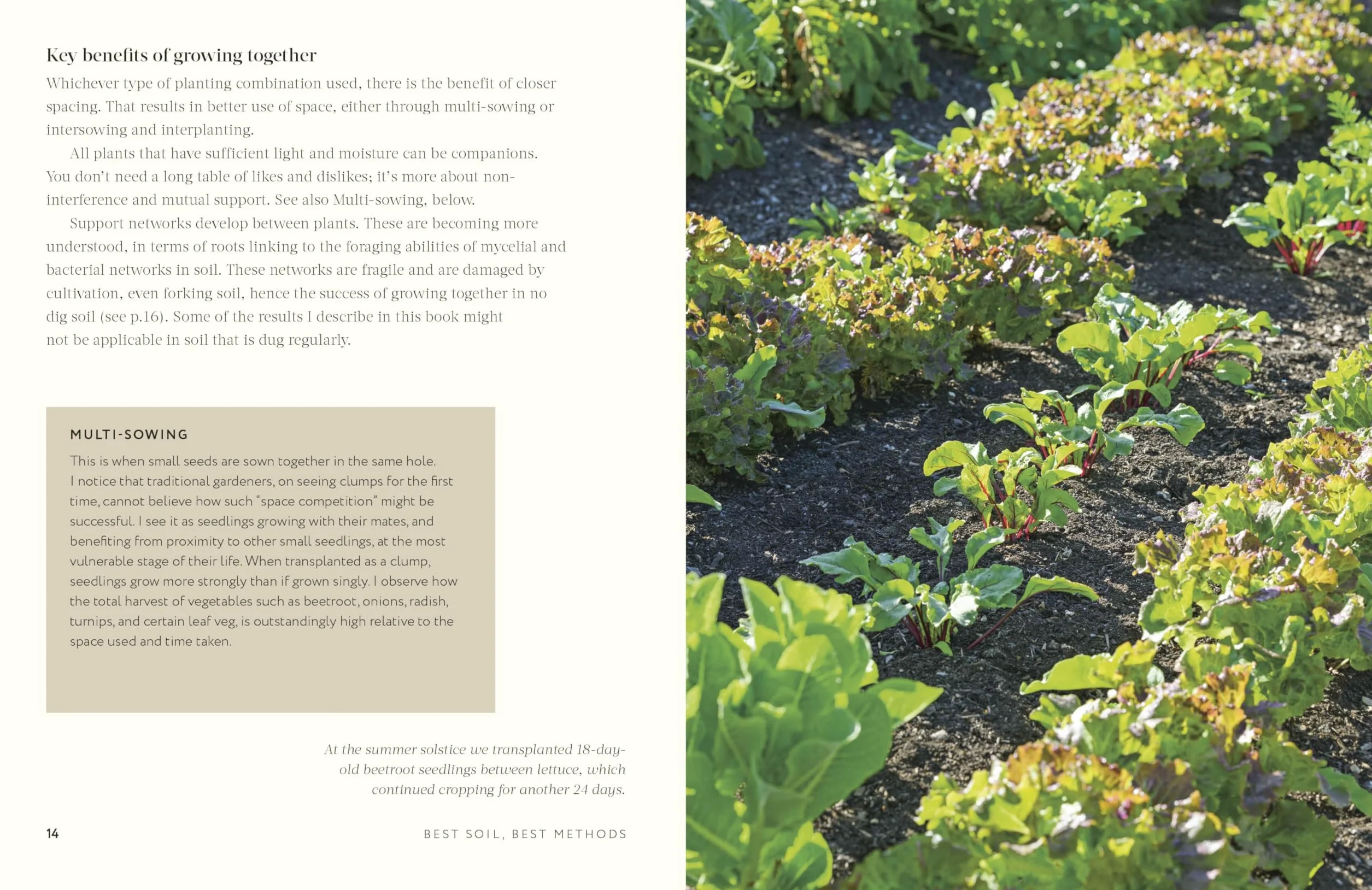 Grow Together: 50 Planting Partnerships to Boost Your Harvests
