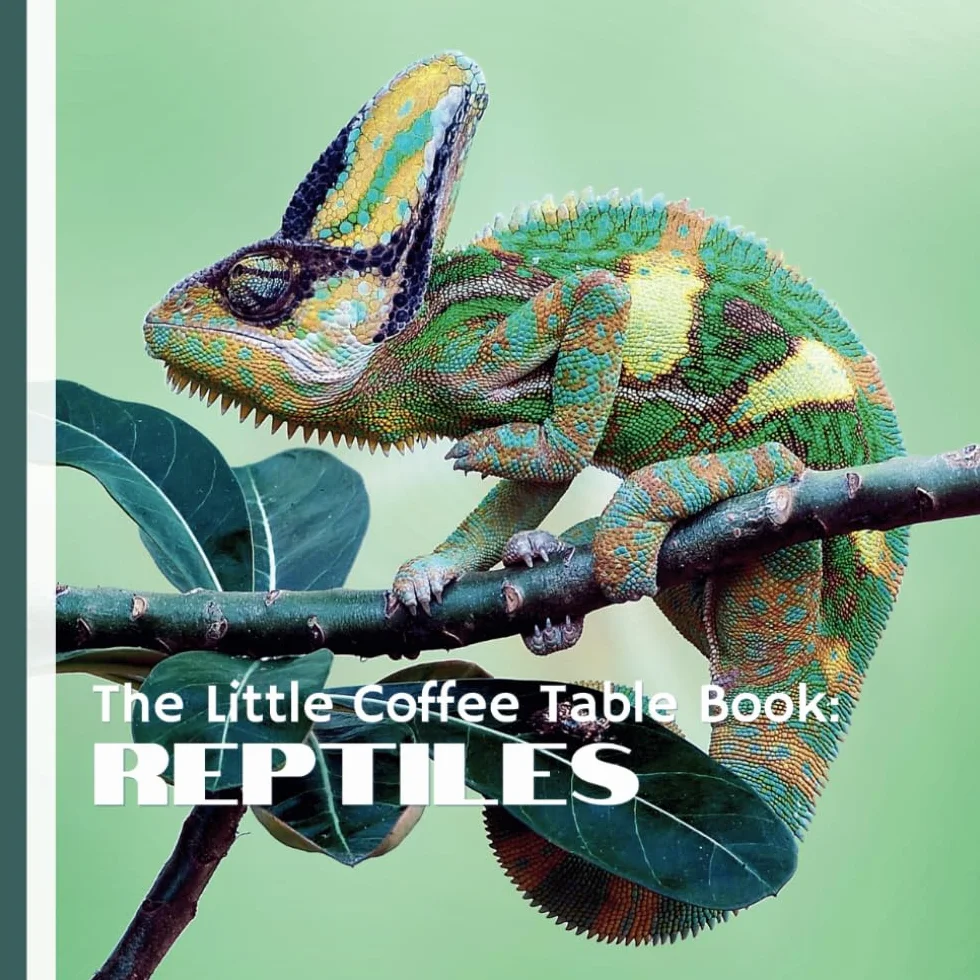 The Little Coffee Table Book: Reptiles