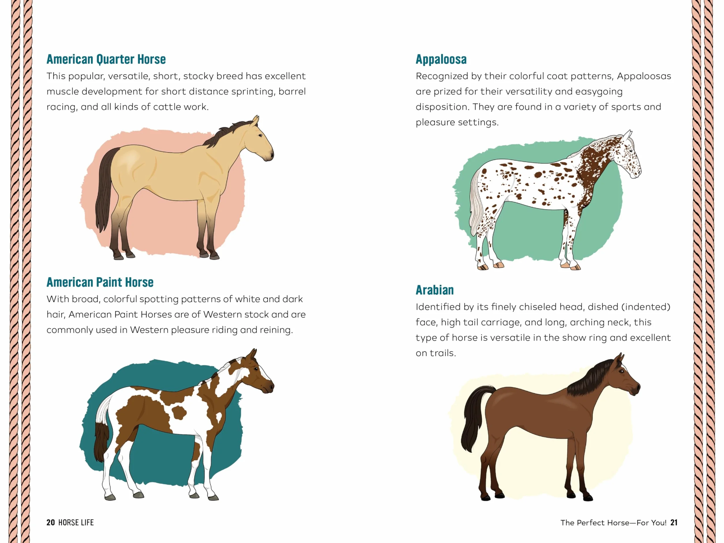 Horse Life: The Ultimate Guide to Caring for and Riding Horses for Kids