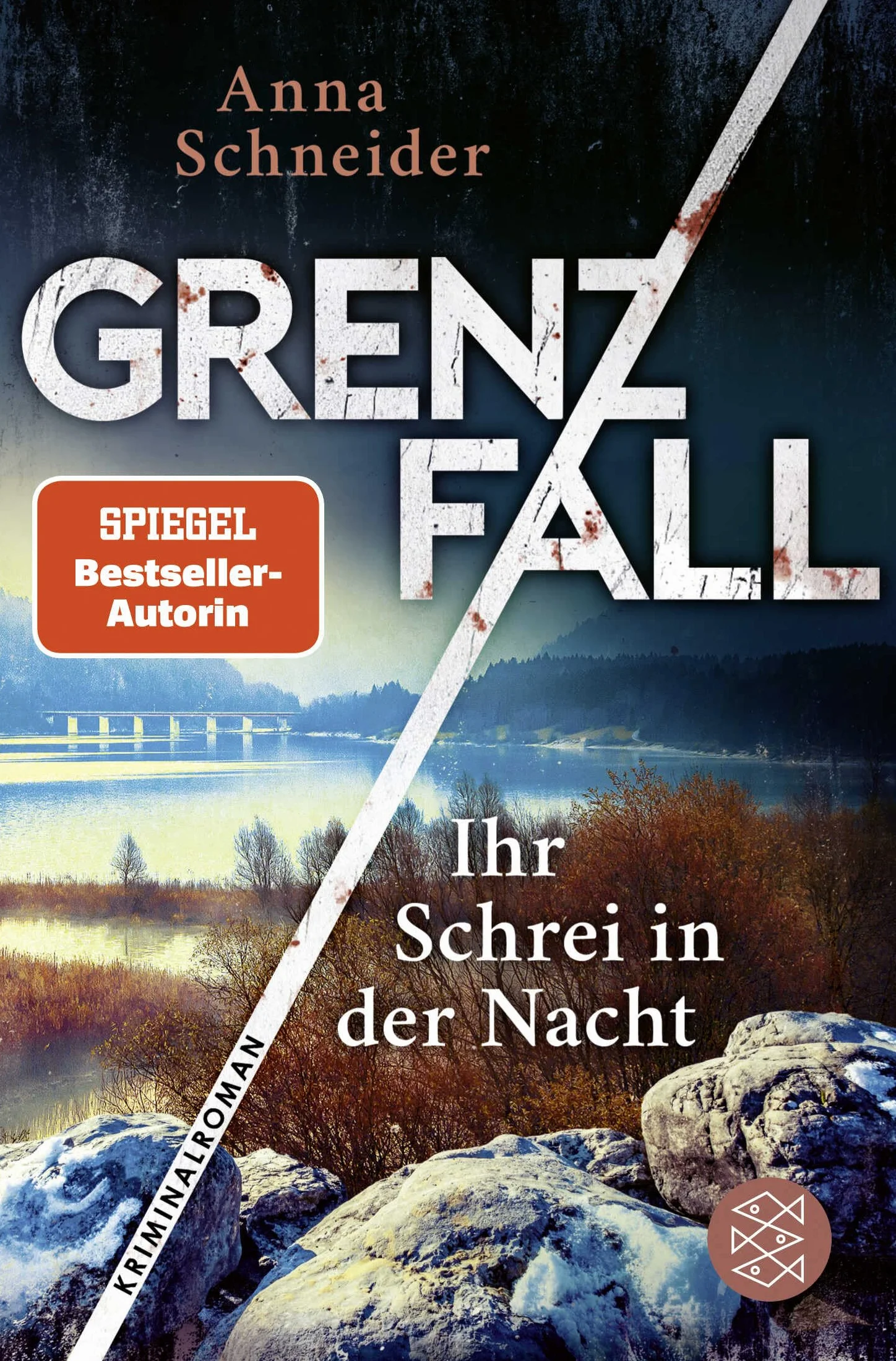 Grenzfall - Ihr Schrei in der Nacht: Kriminalroman | Die grenzüberschreitende Bestseller-Serie zwischen Deutschland & Österreich: 2