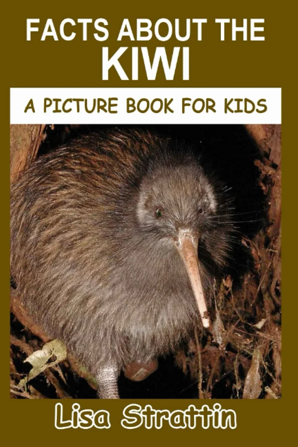 Facts About the Kiwi