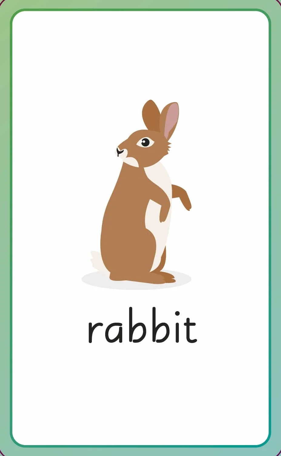 English for Everyone Junior First Words Animals Flash Cards