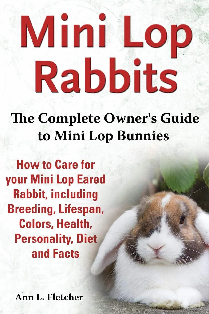 Mini Lop Rabbit Owner's Guide: Care, Breeding, Lifespan, Colors, Health, Diet & Facts