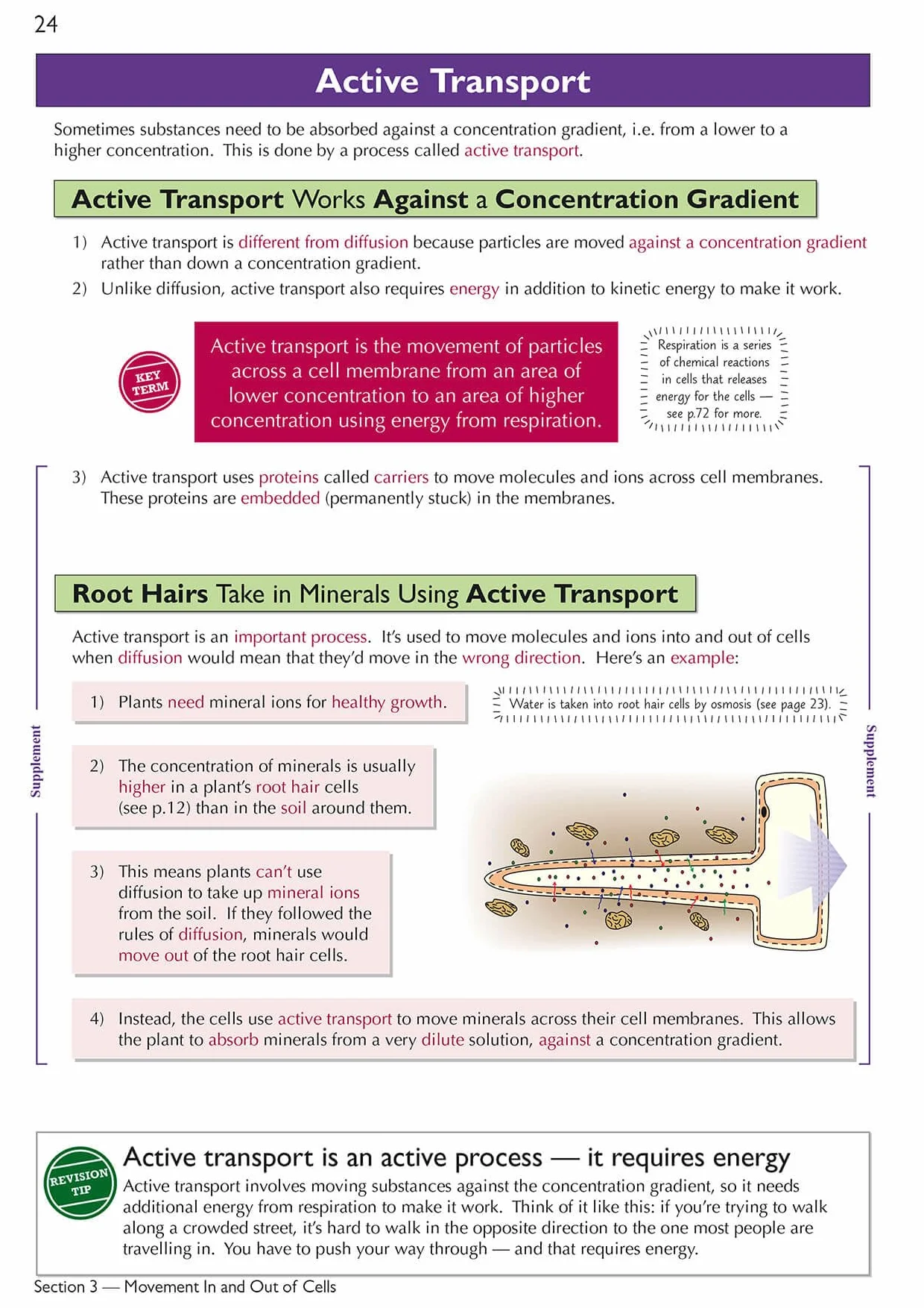 Cambridge International GCSE Biology Complete Revision & Practice